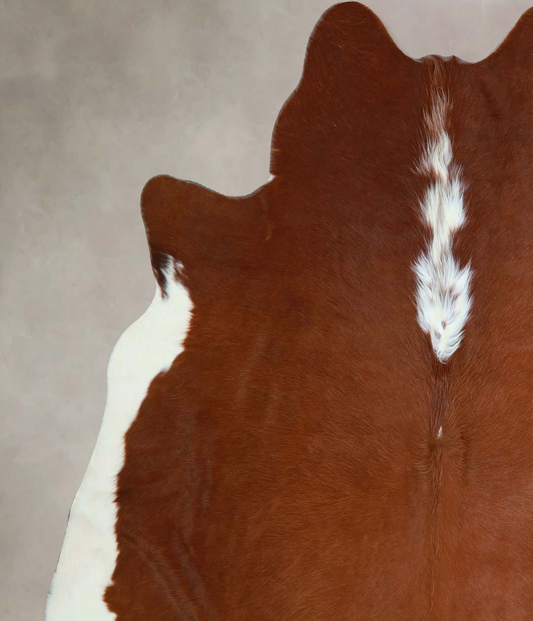 Hereford X-Large Brazilian Cowhide Rug 6'5"H x 6'4"W #A44755 by Hudson
