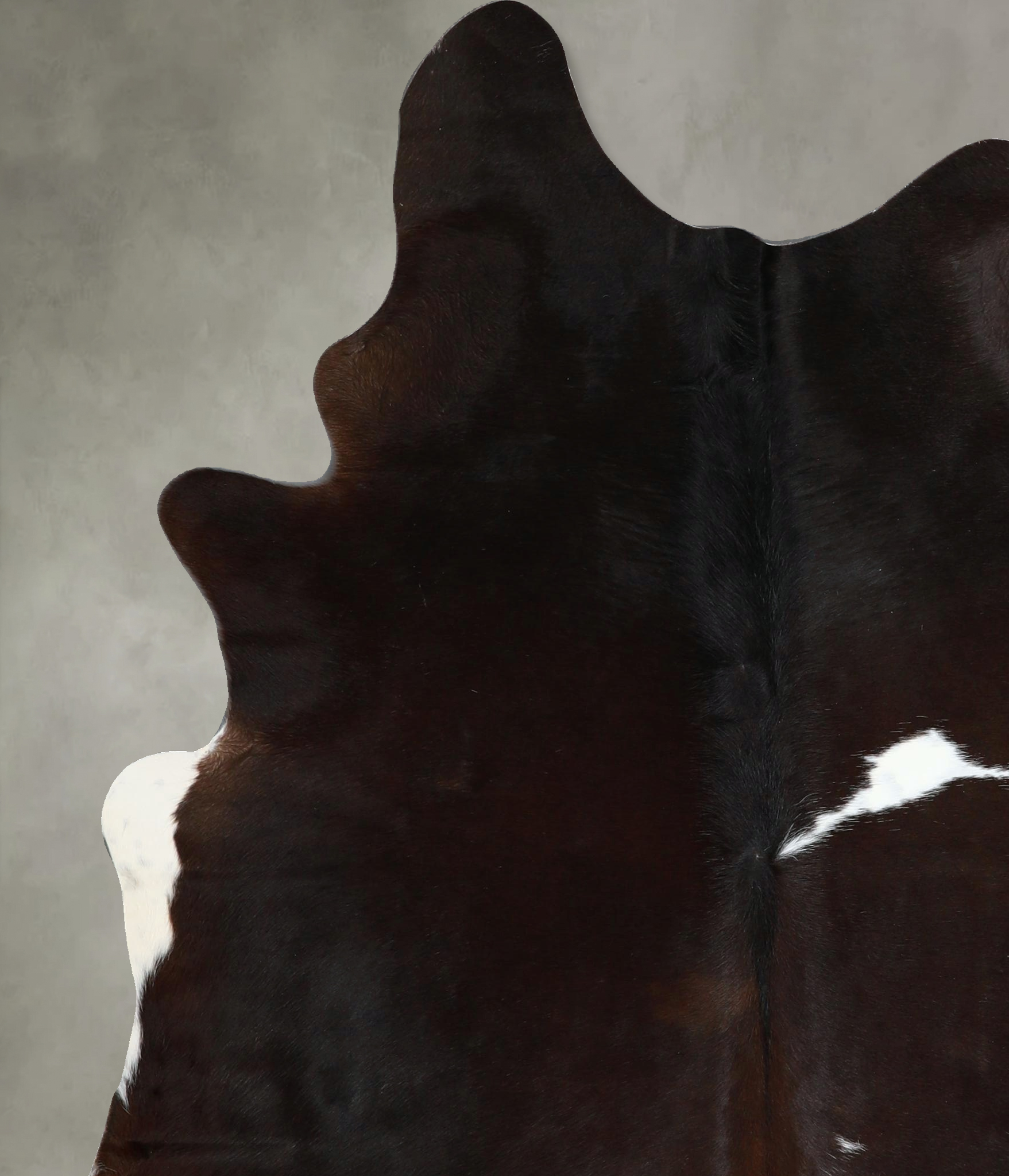 Chocolate and White Cowhide Rug #A44817