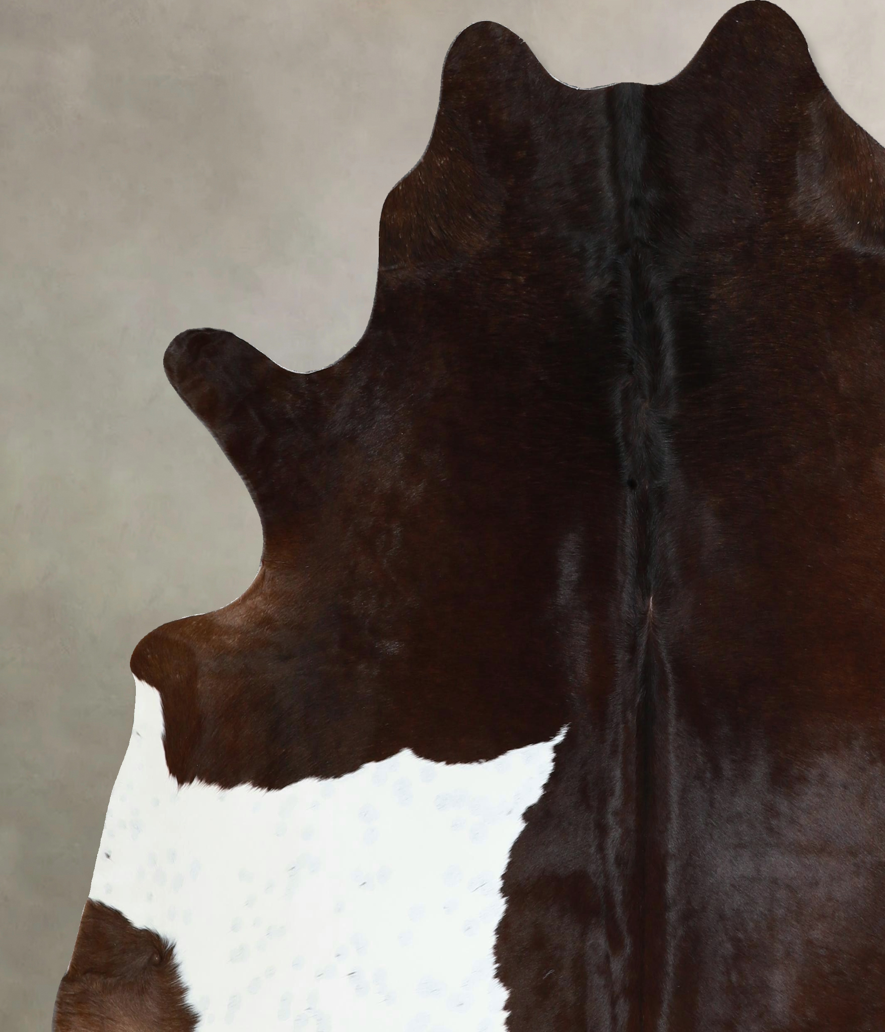 Chocolate and White Cowhide Rug #A44829