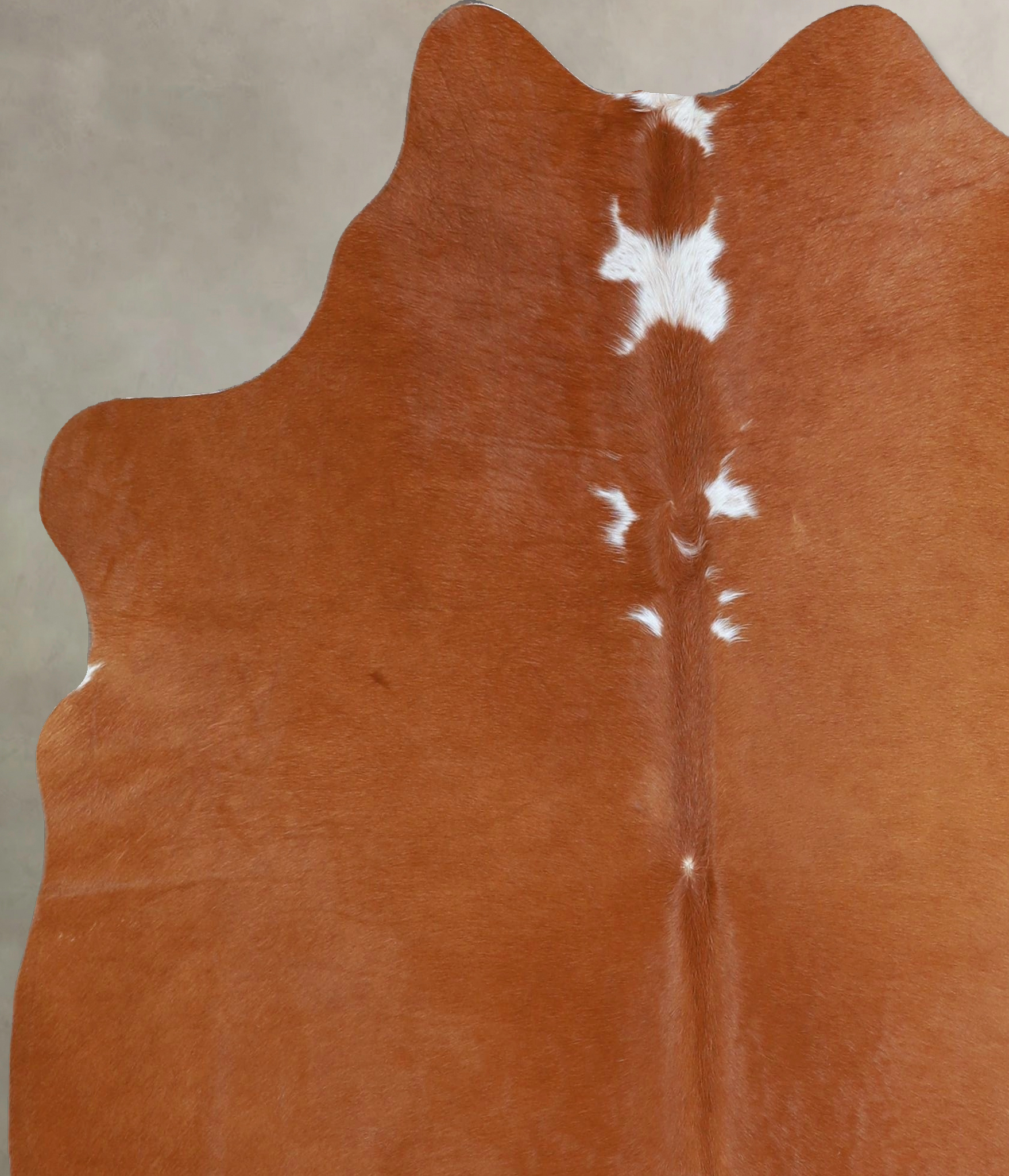 Brown and White Regular Cowhide Rug #A44871