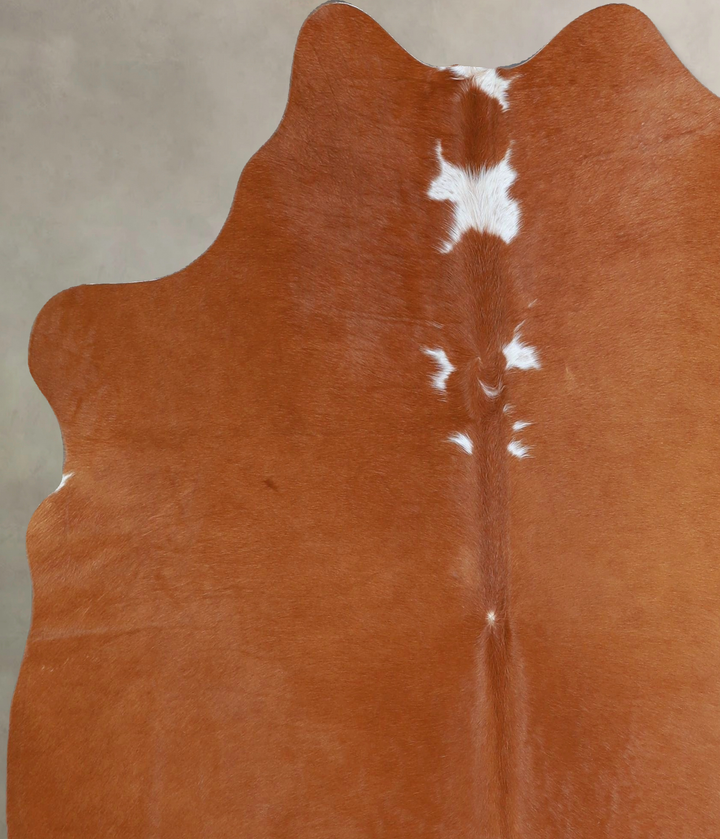 Brown and White Regular Medium Brazilian Cowhide Rug 5'8"H x 5'3"W #A44871 by Hudson Hides