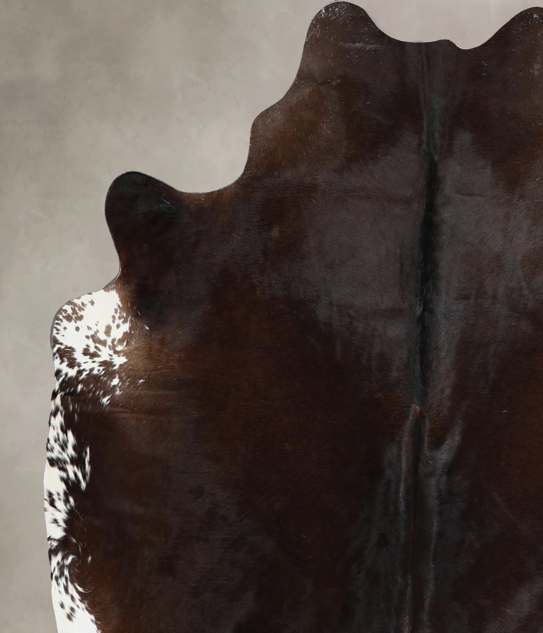 Chocolate Cowhide Rug #A44894