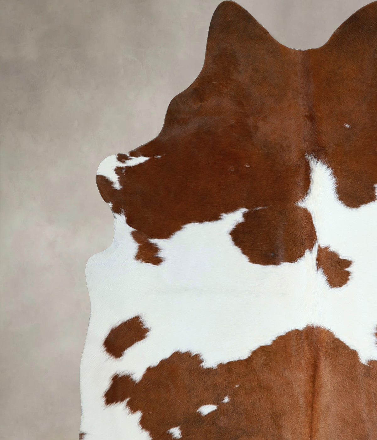 Brown and White X-Large Brazilian Cowhide Rug 7'4"H x 6'6"W #A44906 by Hudson Hides