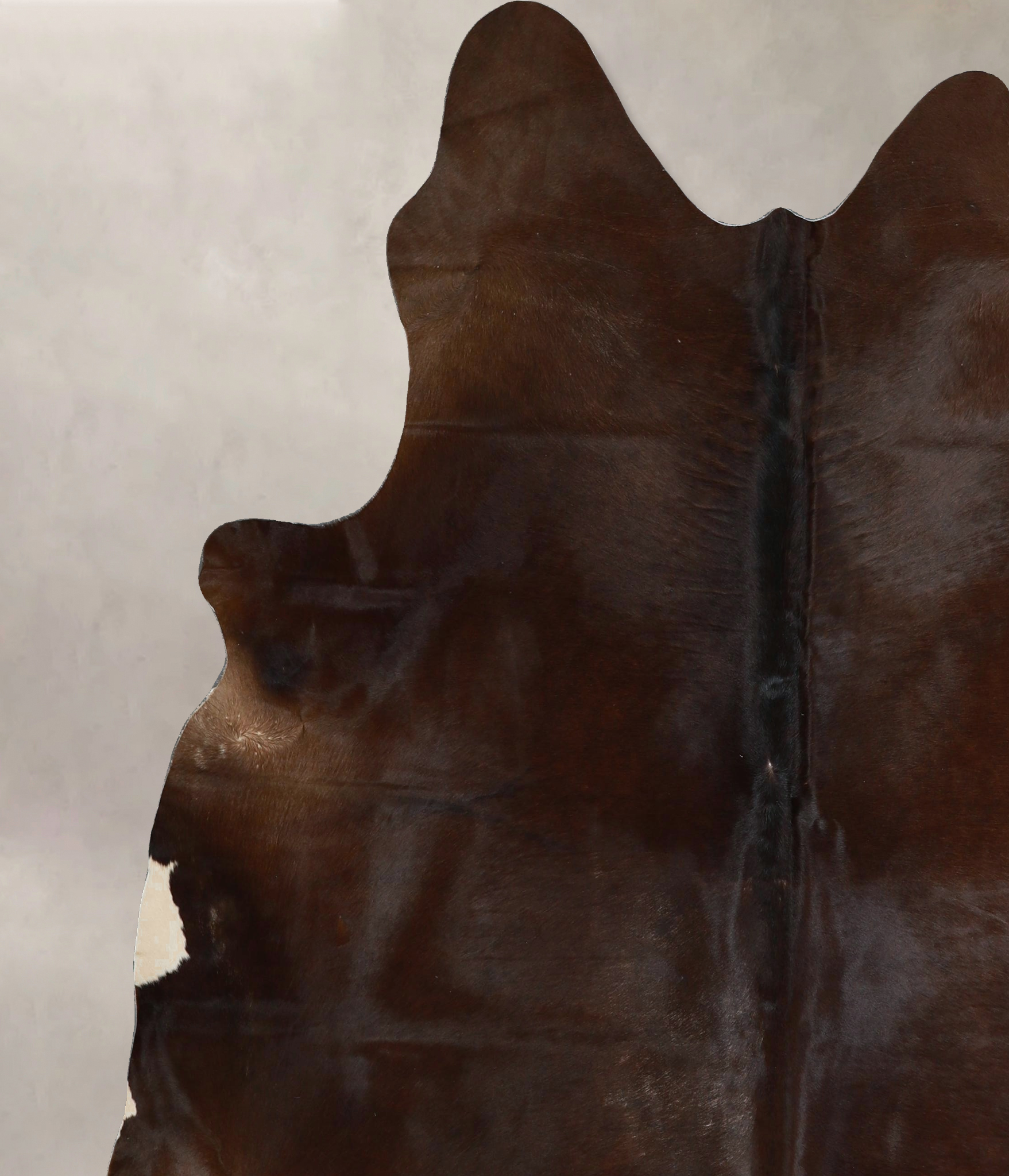 Chocolate Cowhide Rug #A44965