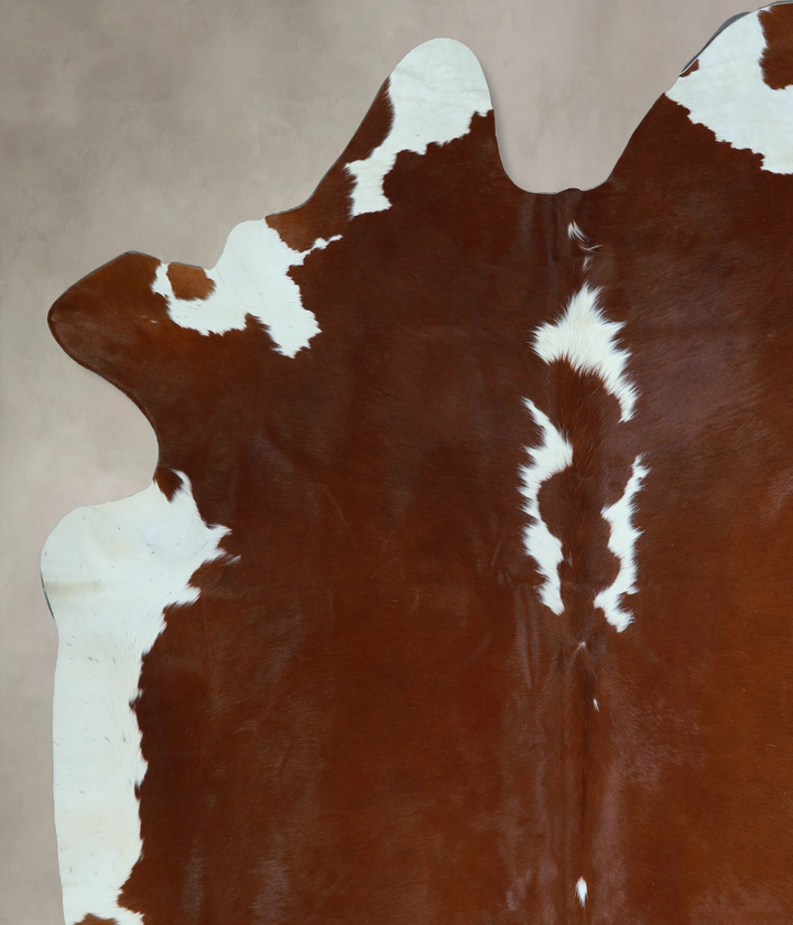 Hereford XX-Large Brazilian Cowhide Rug 8'2"H x 6'11"W #A44967 by Hudson Hides