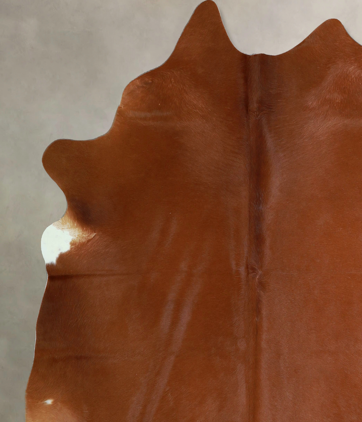 Solid Brown X-Large Brazilian Cowhide Rug 6'11"H x 6'5"W #A45009 by Hudson Hides