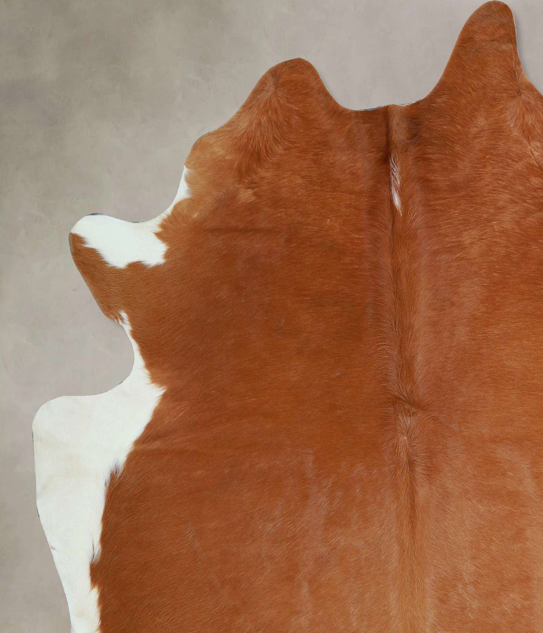 Solid Brown Cowhide Rug #A45019