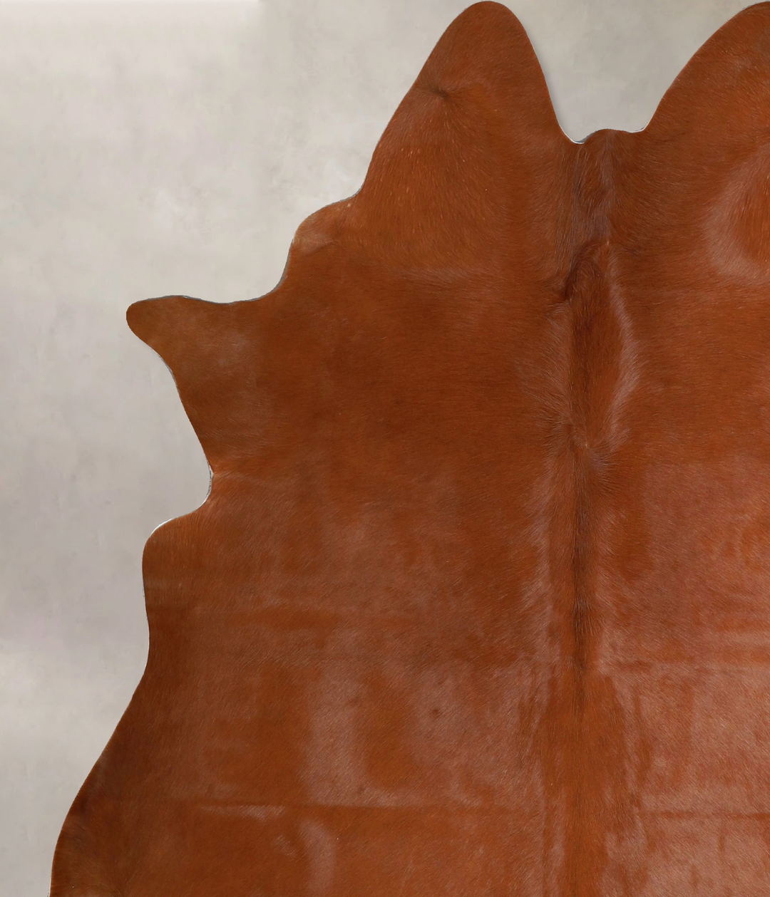 Solid Brown X-Large Brazilian Cowhide Rug 6'10"H x 6'1"W #A45067 by Hu