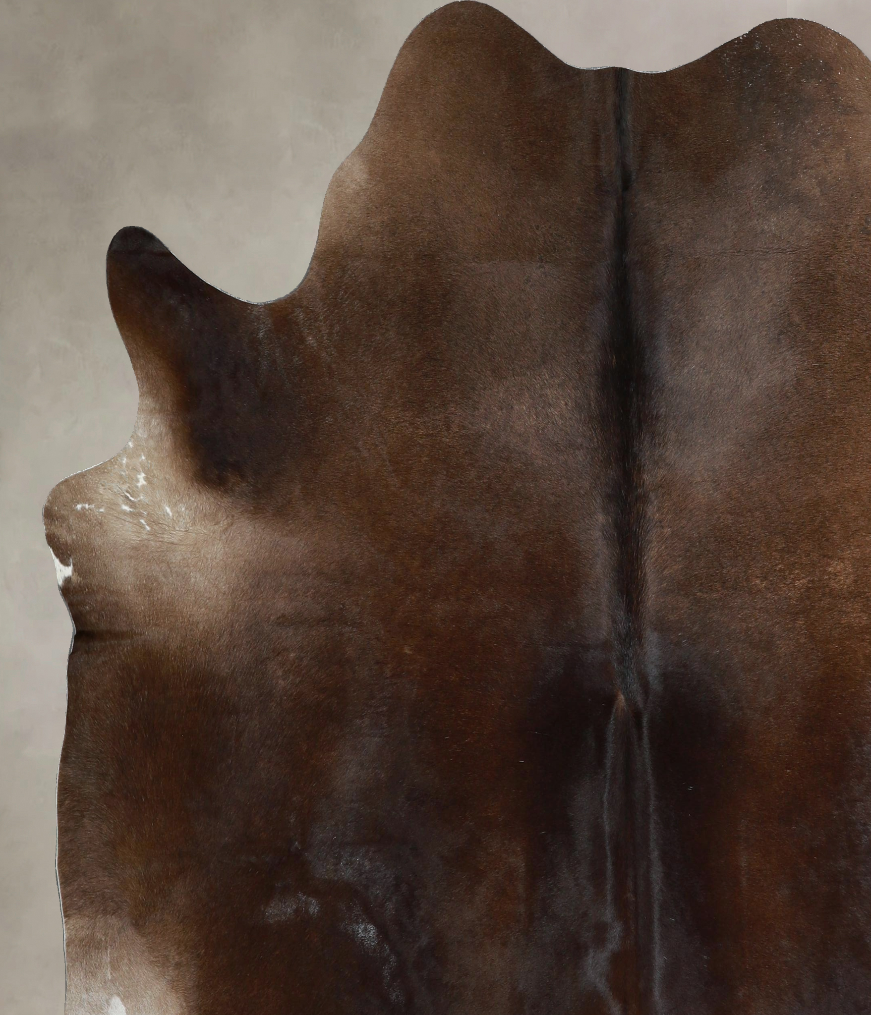 Chocolate Cowhide Rug #A45087