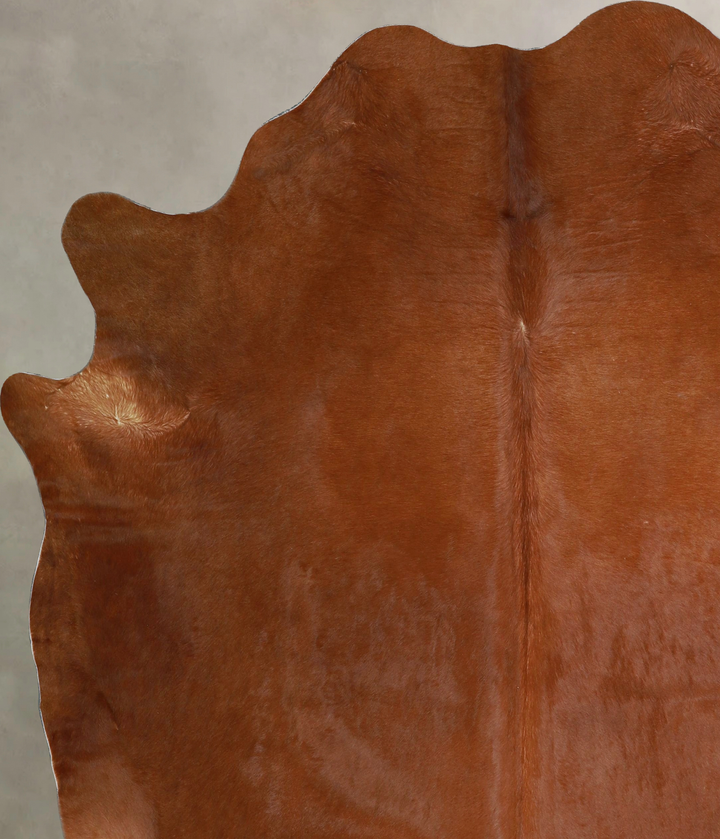 Solid Brown XX-Large Brazilian Cowhide Rug 7'6"H x 6'8"W #A45088 by Hudson Hides