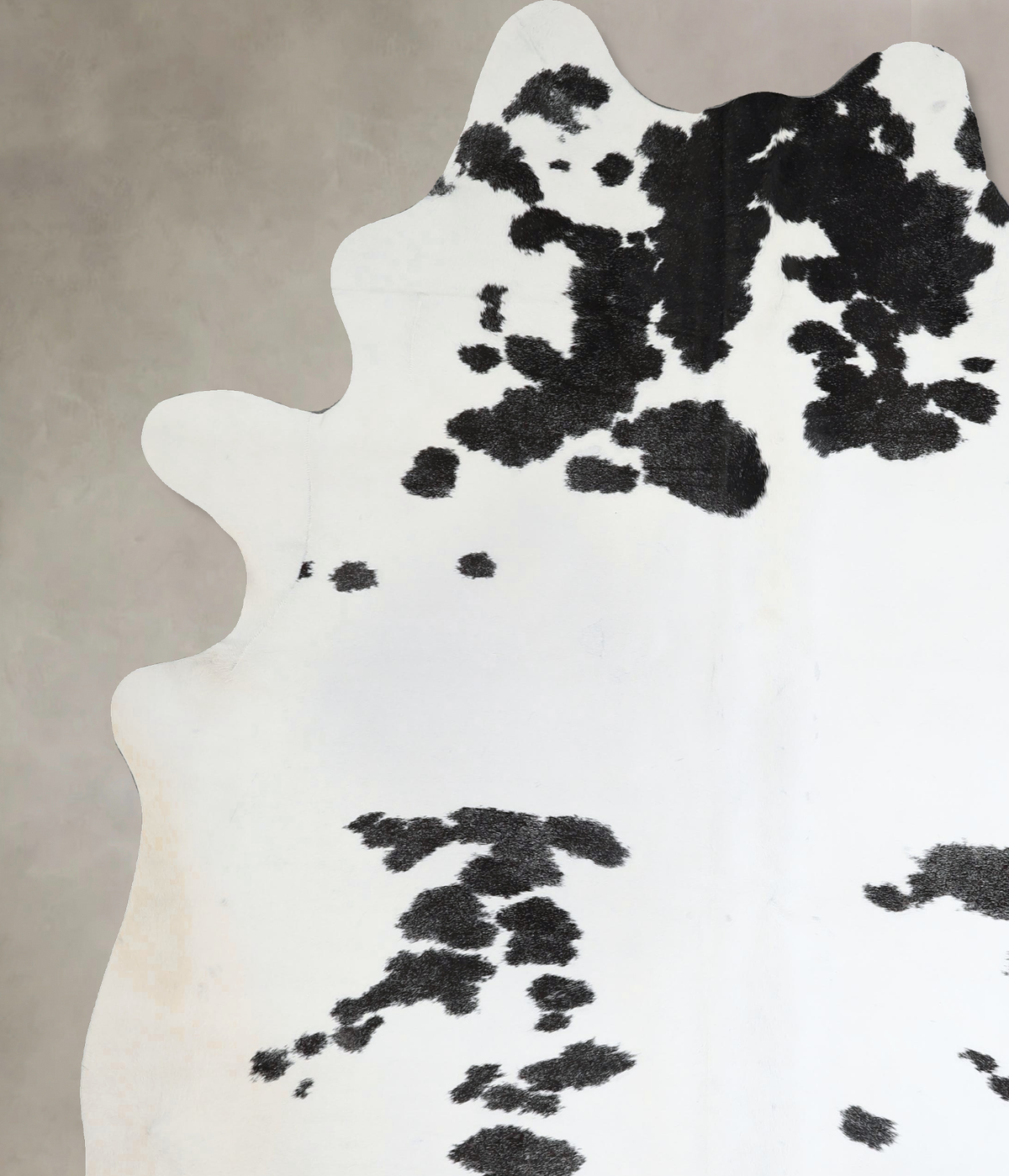 Black and White XX-Large Brazilian Cowhide Rug 8'3"H x 6'9"W #A45095 by Hudson Hides