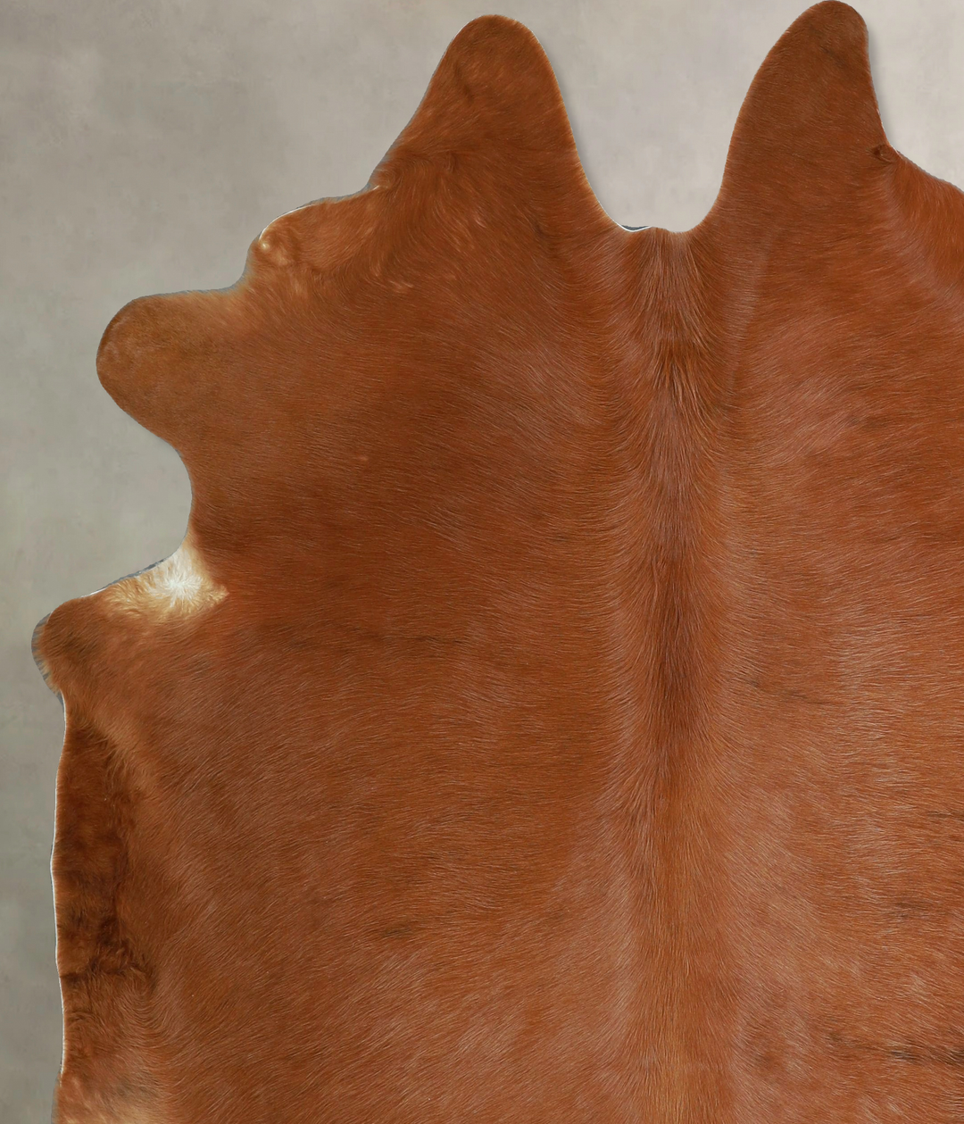 Solid Brown X-Large Brazilian Cowhide Rug 7'5"H x 6'8"W #A45097 by Hud