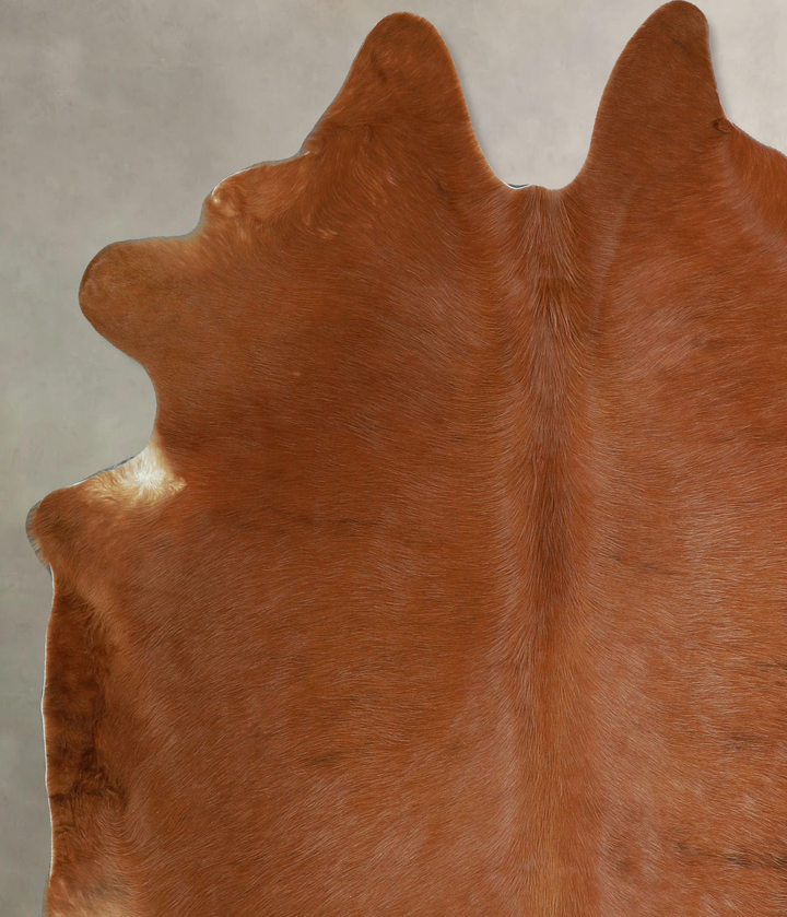 Solid Brown X-Large Brazilian Cowhide Rug 7'5"H x 6'8"W #A45097 by Hudson Hides
