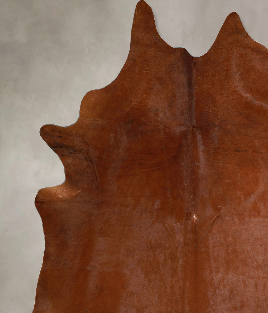 Solid Brown XX-Large Brazilian Cowhide Rug 8'0"H x 6'8"W #A45100 by Hu