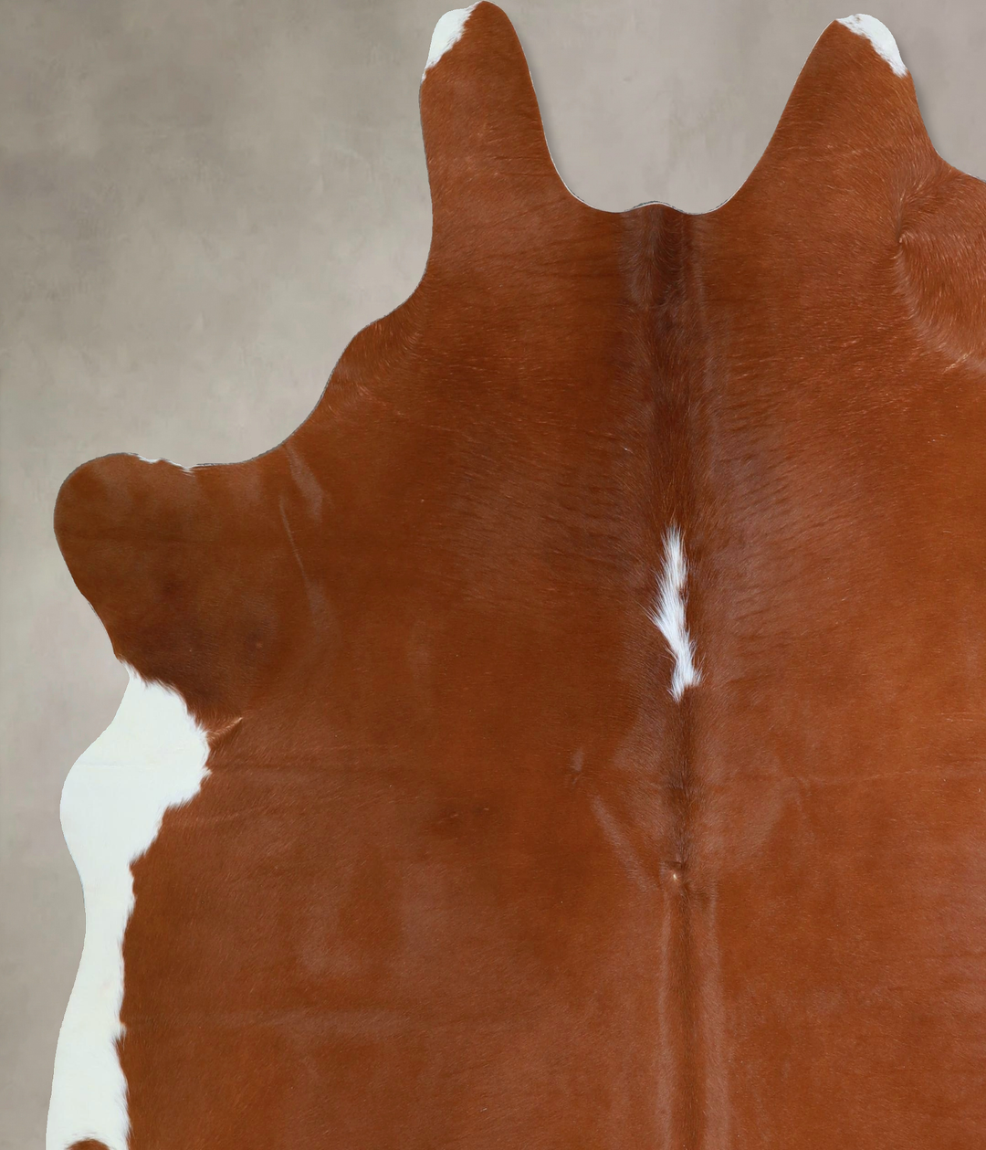 Brown and White Regular X-Large Brazilian Cowhide Rug 7'1"H x 6'8"W #A