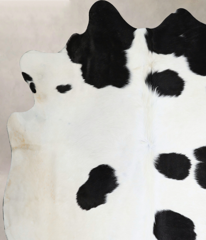 Black and White XX-Large Brazilian Cowhide Rug 7'6"H x 7'2"W #A45108 by Hudson Hides