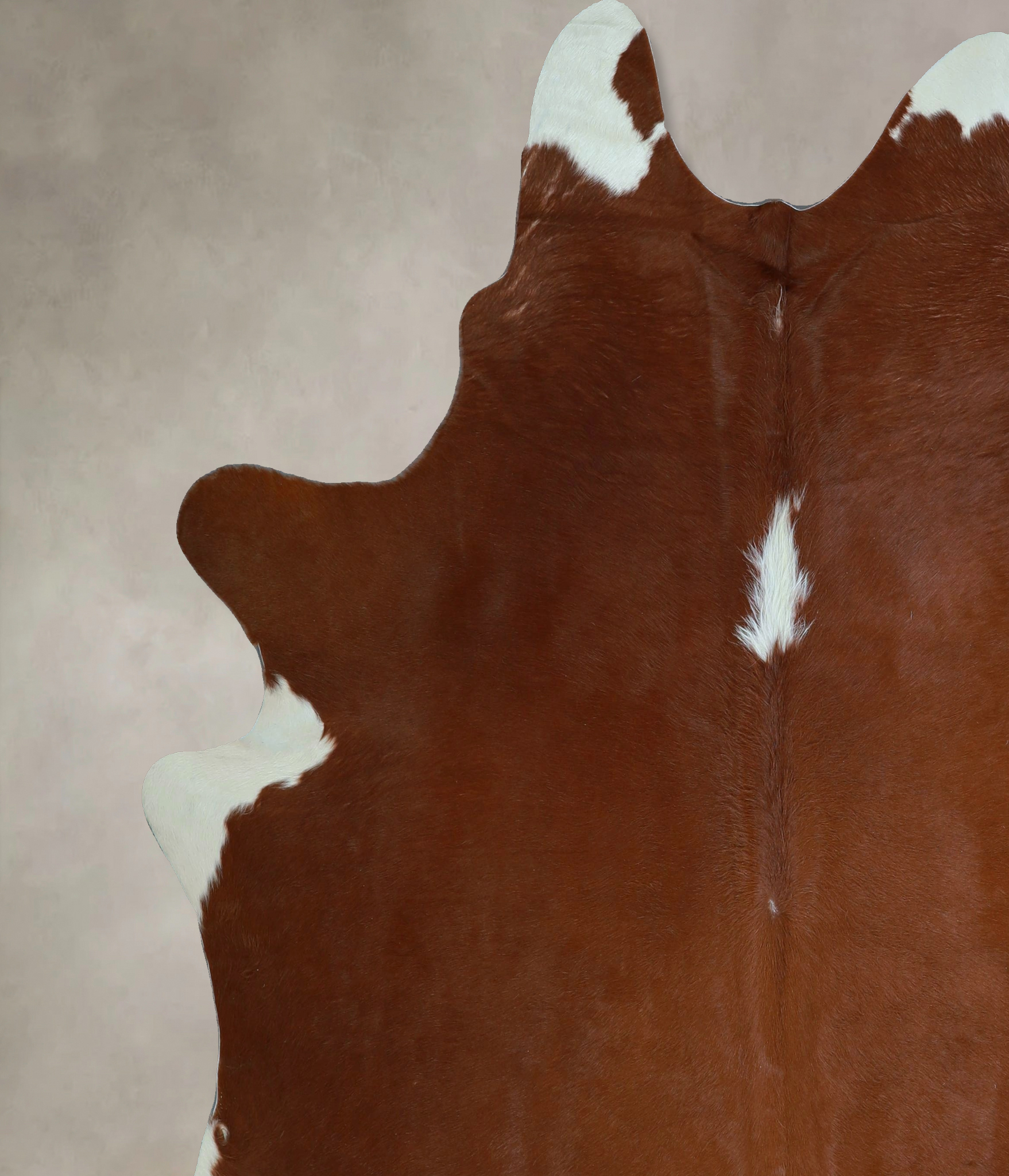 Brown and White Regular Cowhide Rug #A45129
