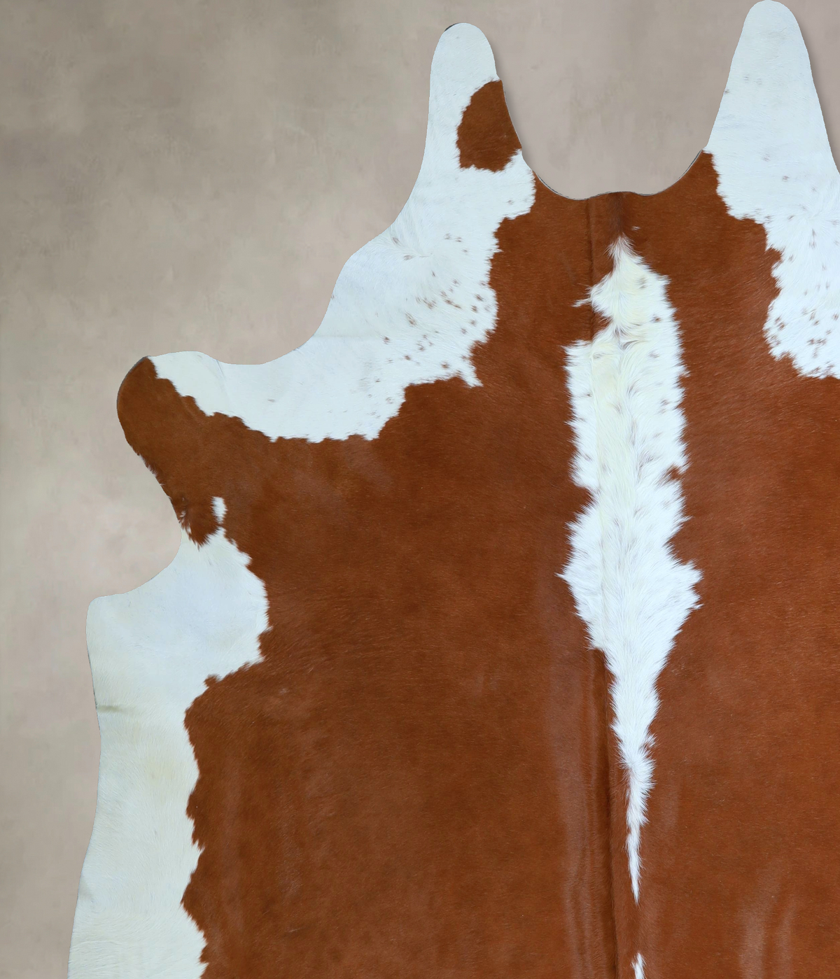 Hereford XX-Large Brazilian Cowhide Rug 8'5"H x 7'9"W #A45130 by Hudson Hides