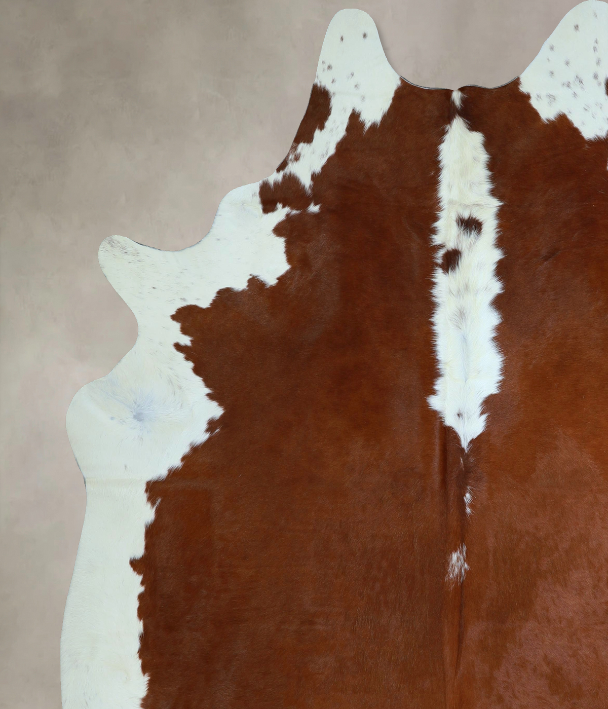 Hereford XX-Large Brazilian Cowhide Rug 8'2"H x 7'3"W #A45131 by Hudson Hides