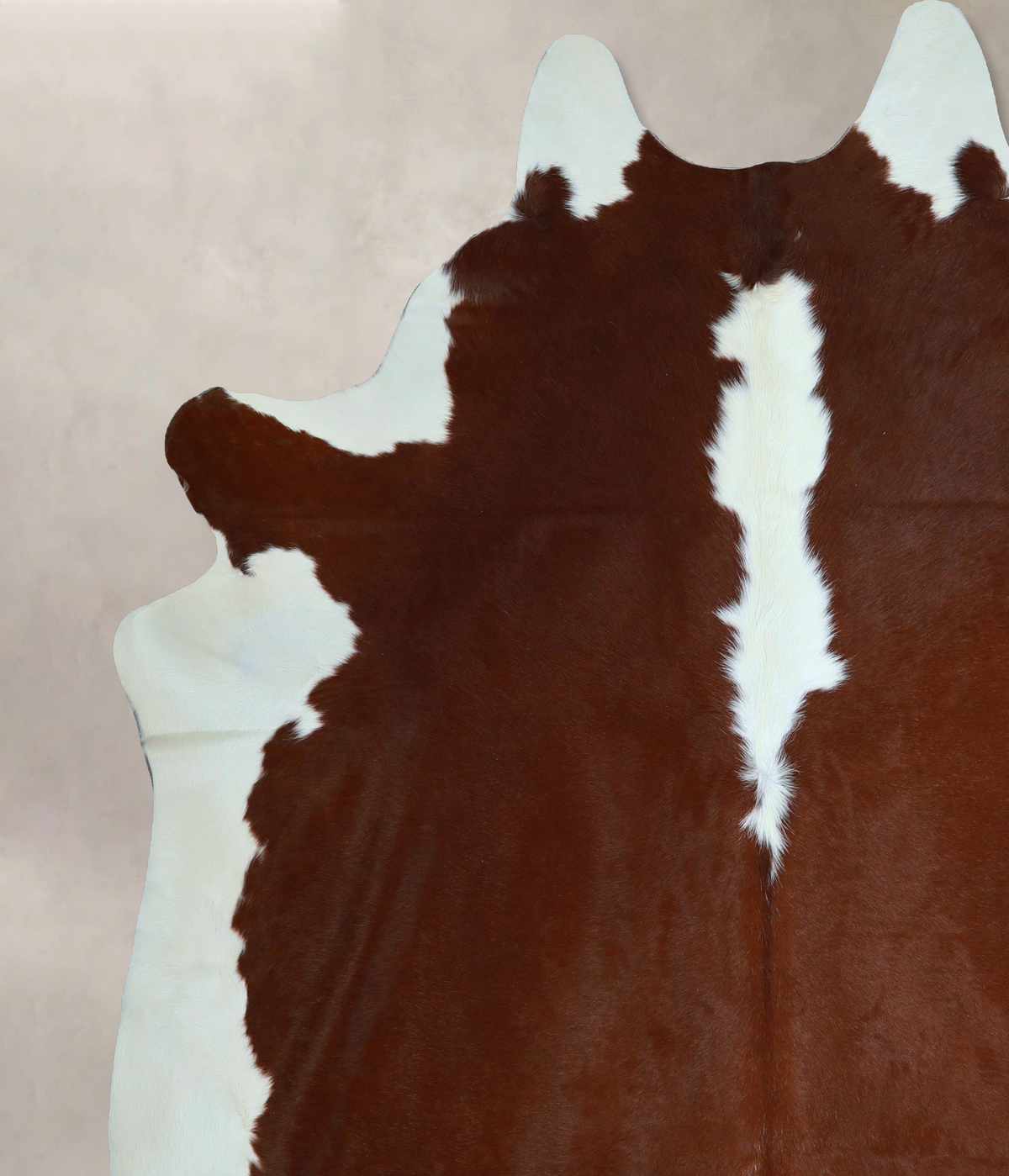 Hereford XX-Large Brazilian Cowhide Rug 8'3"H x 7'3"W #A45133 by Hudson Hides