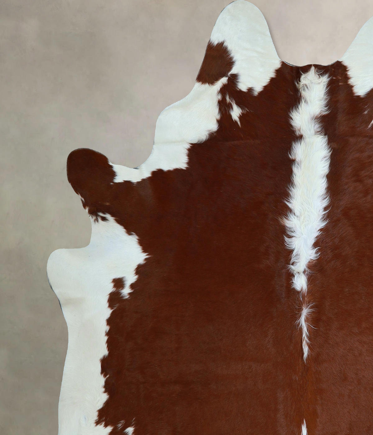 Hereford XX-Large Brazilian Cowhide Rug 7'10"H x 6'6"W #A45136 by Hudson Hides