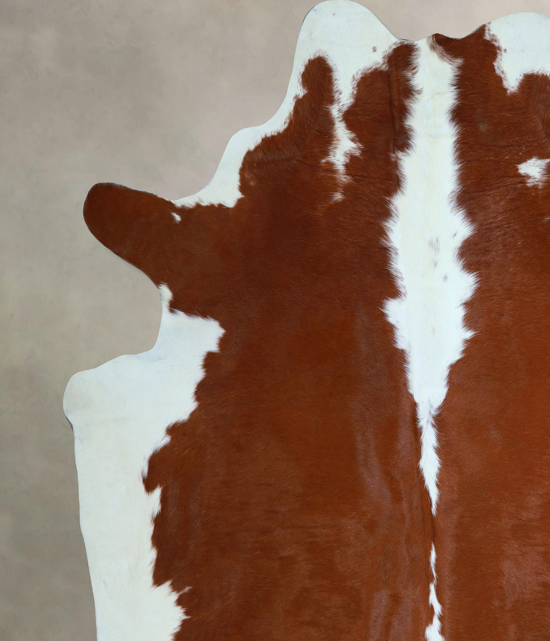 Hereford XX-Large Brazilian Cowhide Rug 7'8"H x 7'1"W #A45137 by Hudso