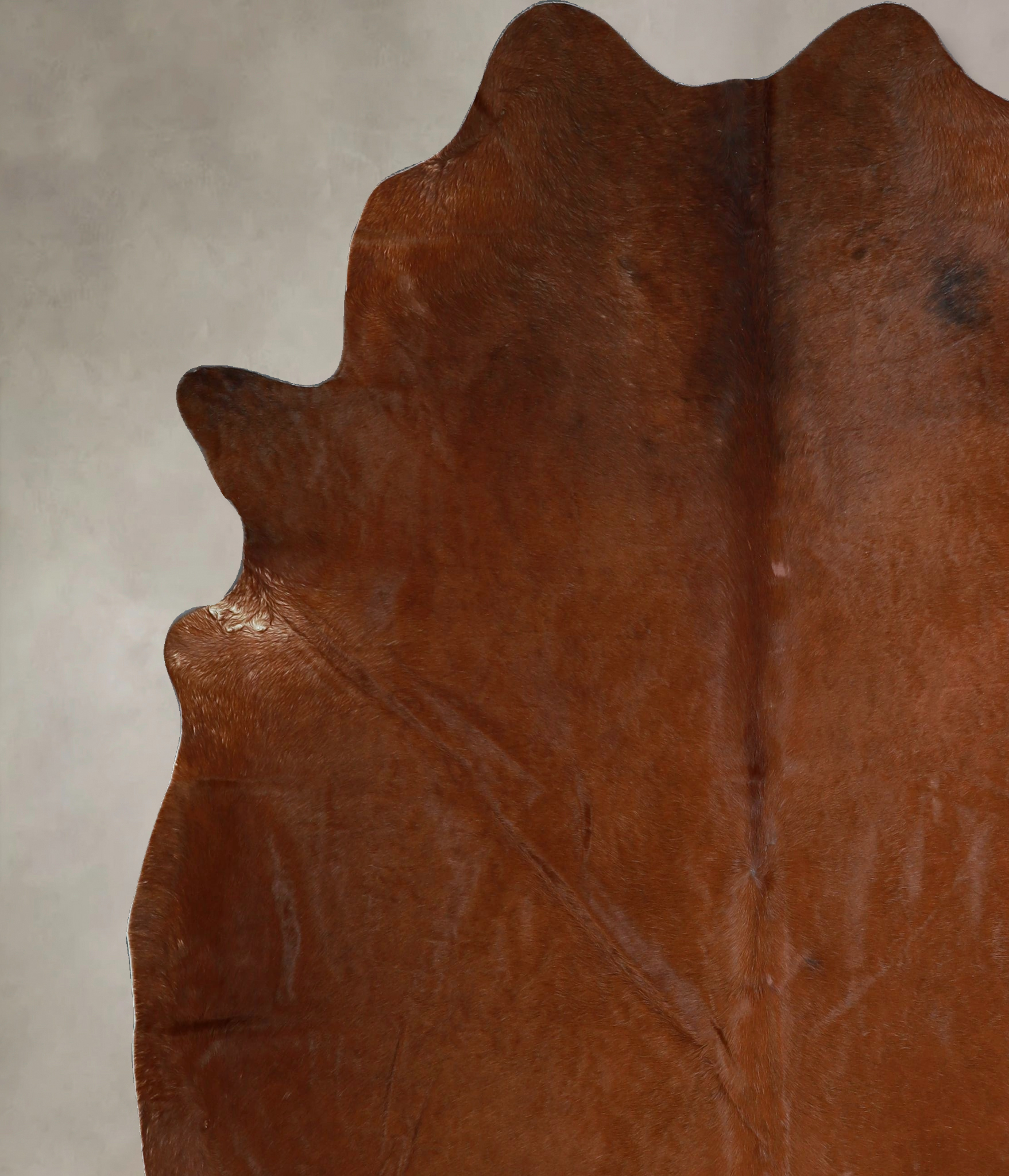 Solid Brown Cowhide Rug #A45145