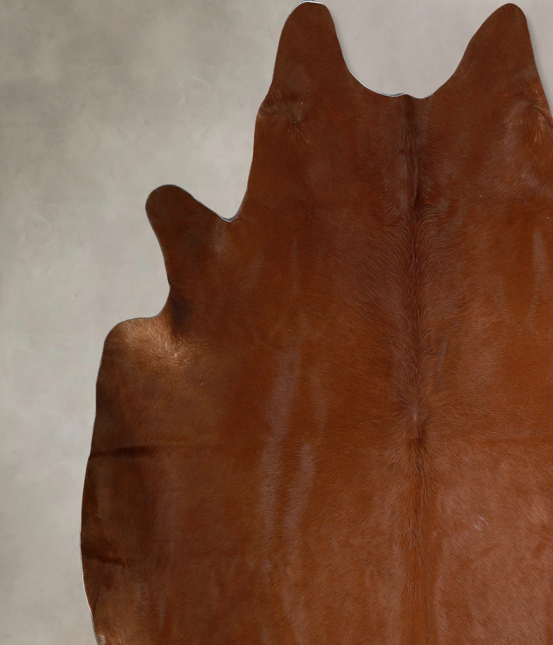 Solid Brown XX-Large Brazilian Cowhide Rug 7'7"H x 7'5"W #A45148 by Hu