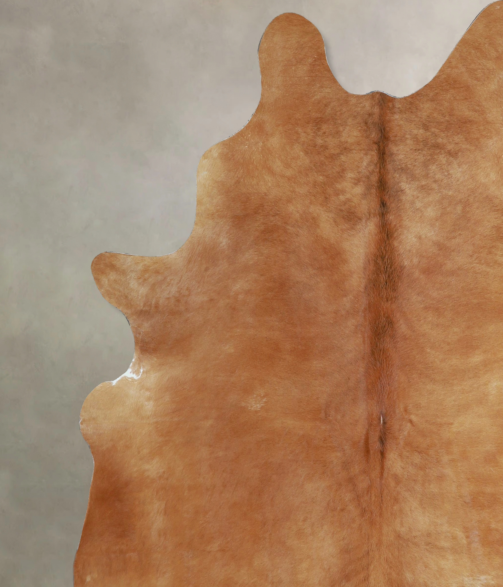 Solid Brown Cowhide Rug #A45149