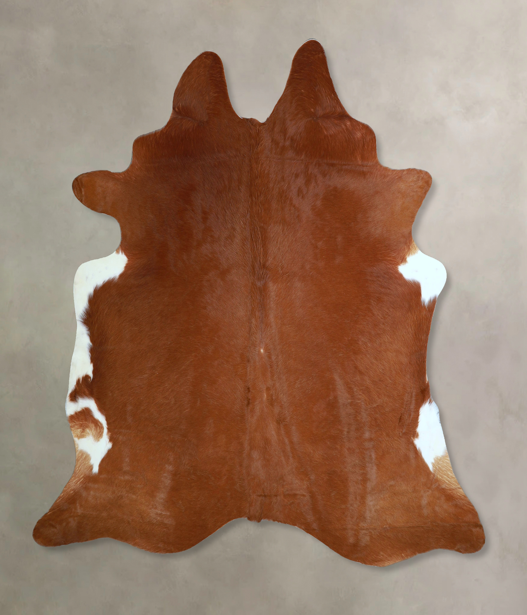 Solid Brown Cowhide Rug #A45151
