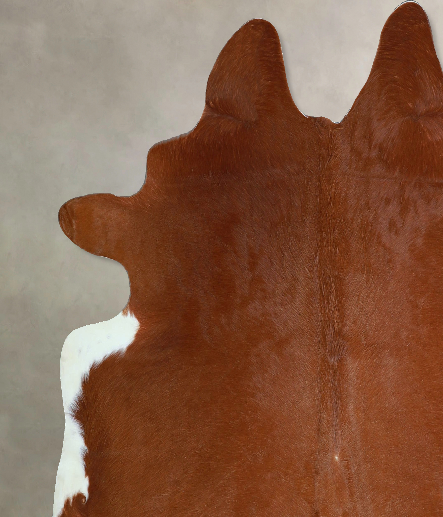 Solid Brown Cowhide Rug #A45151