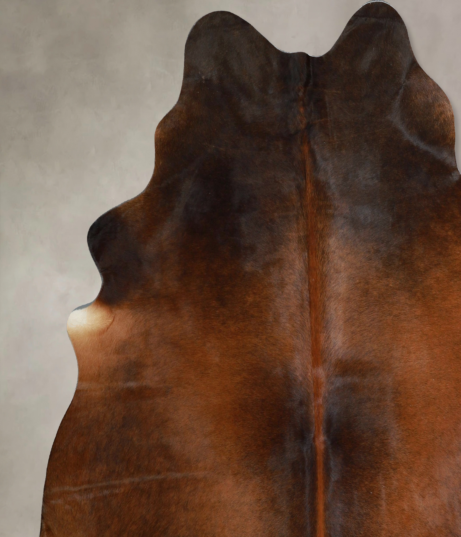 Warm Caramel Cowhide Rug #A45152