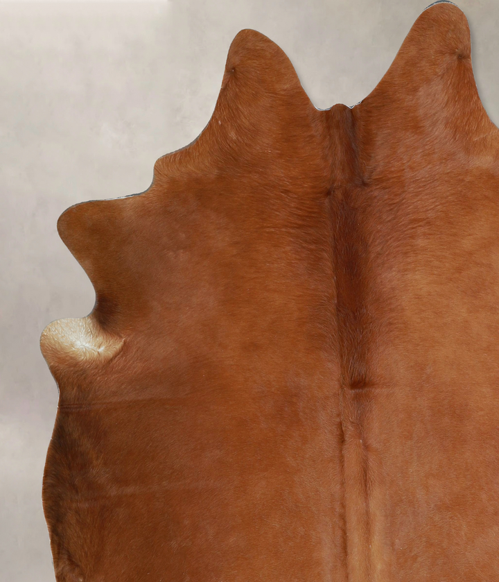 Solid Brown X-Large Brazilian Cowhide Rug 7'4"H x 6'4"W #A45153 by Hudson Hides
