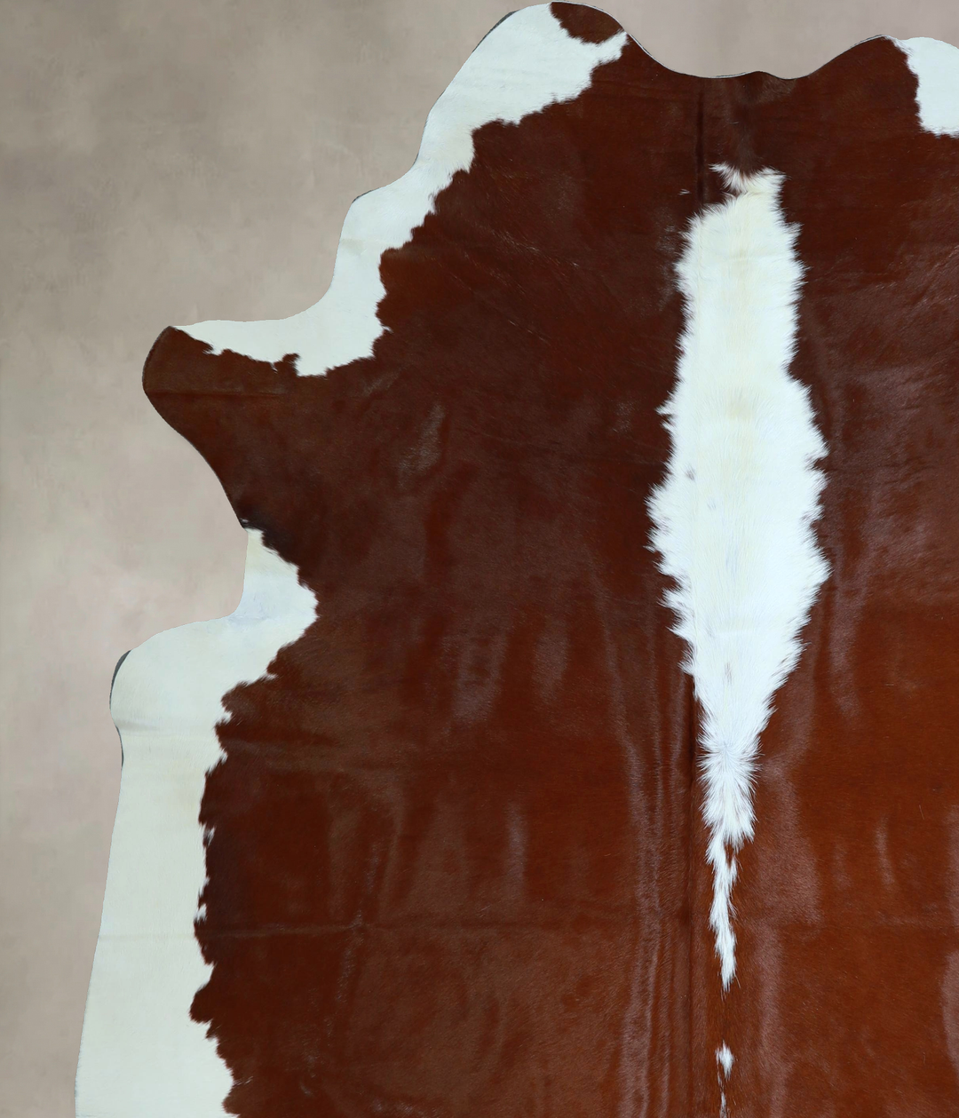 Hereford XX-Large Brazilian Cowhide Rug 7'11"H x 7'6"W #A45161 by Huds