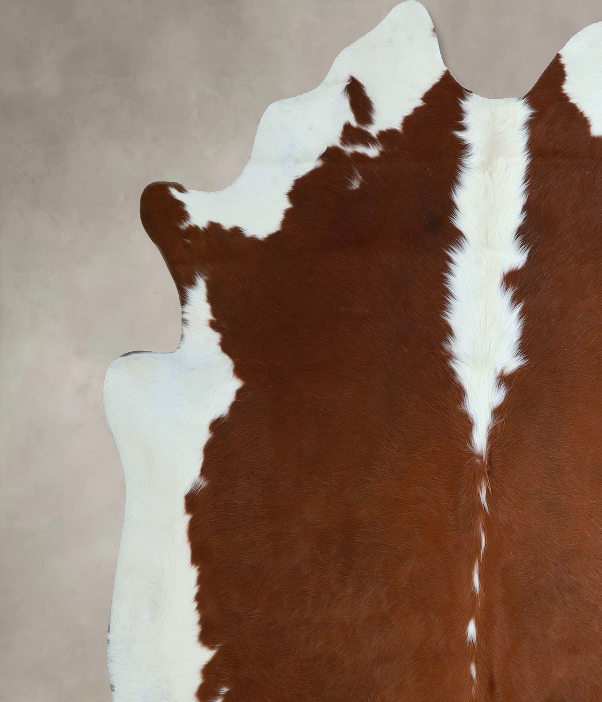 Hereford X-Large Brazilian Cowhide Rug 6'9"H x 6'8"W #A45162 by Hudson Hides