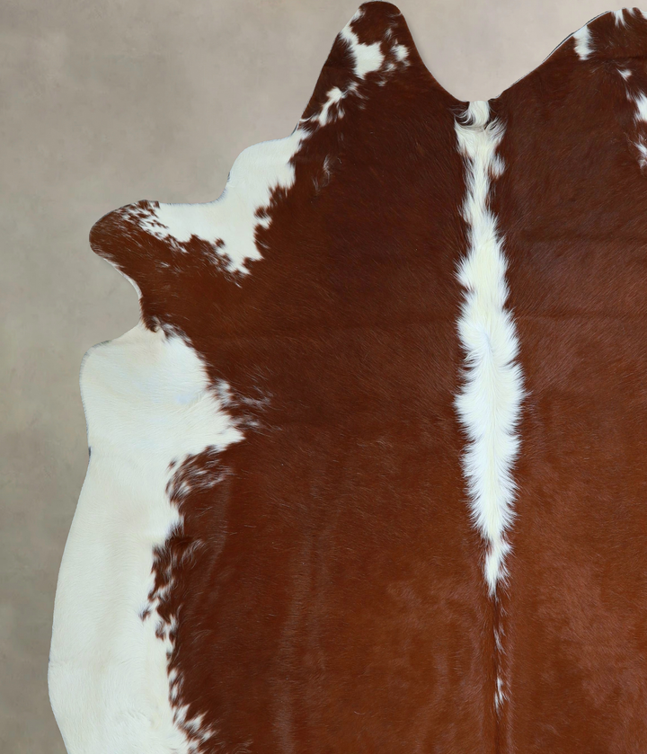 Hereford XX-Large Brazilian Cowhide Rug 7'11"H x 7'2"W #A45163 by Hudson Hides