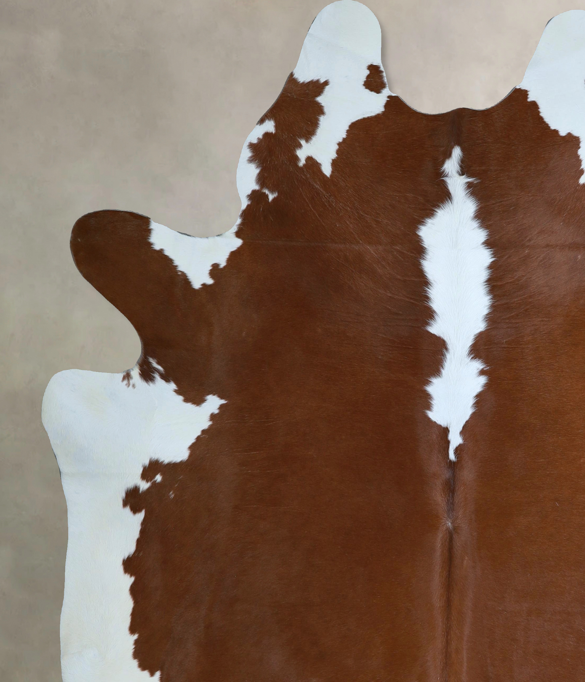 Hereford XX-Large Brazilian Cowhide Rug 8'1"H x 6'10"W #A45167 by Hudson Hides