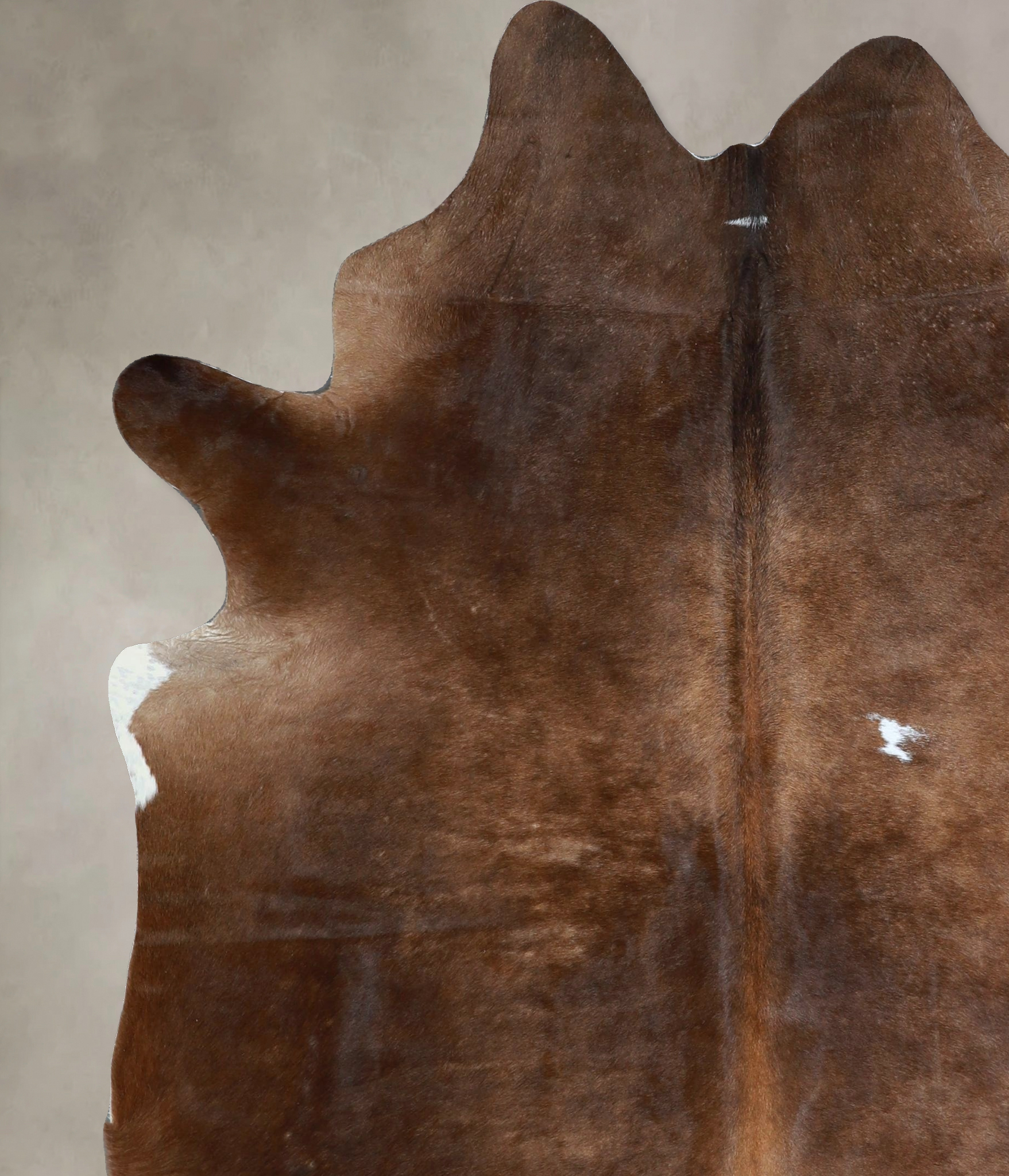 Chocolate Cowhide Rug #A45169