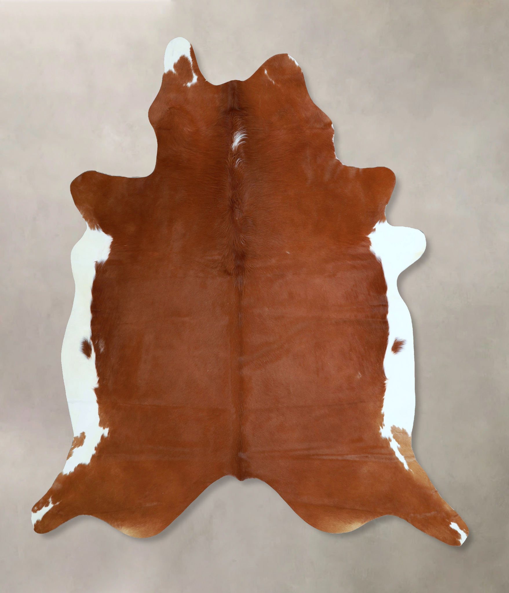 Brown and White Regular Cowhide Rug #A45170
