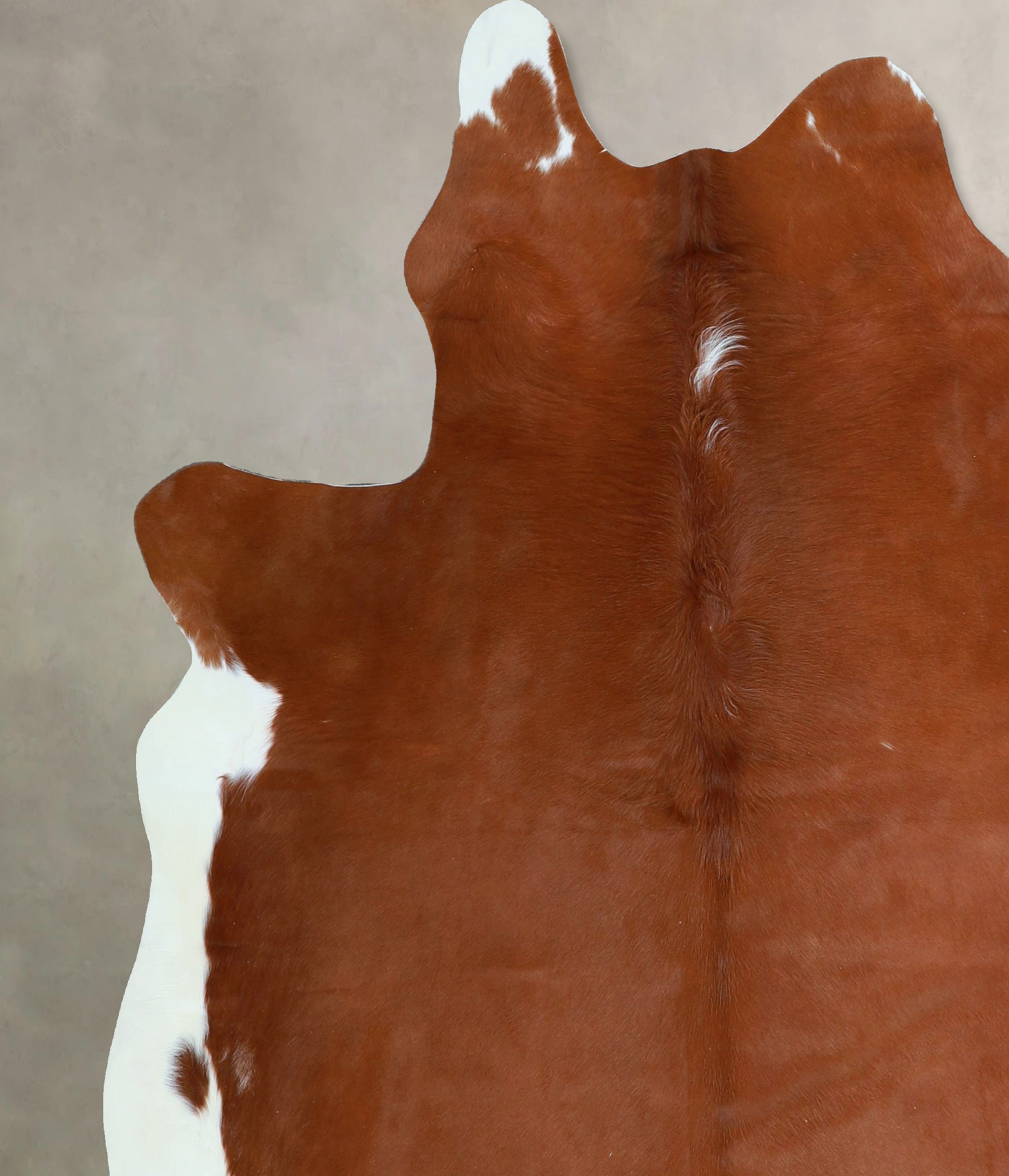Brown and White Regular Cowhide Rug #A45170
