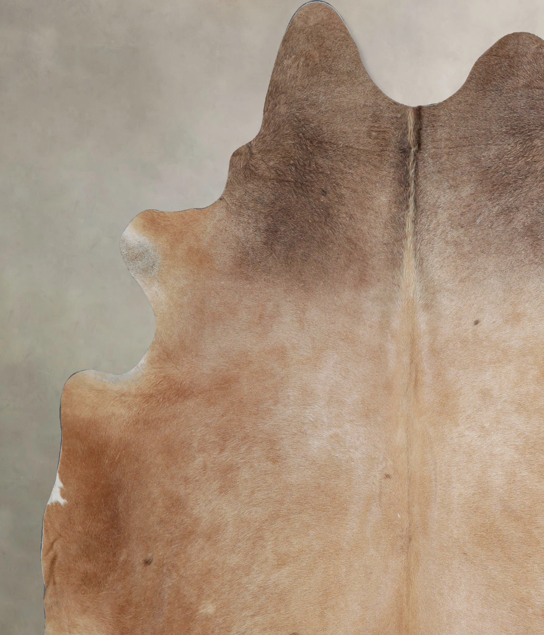 Light Caramel Cowhide Rug #A45181