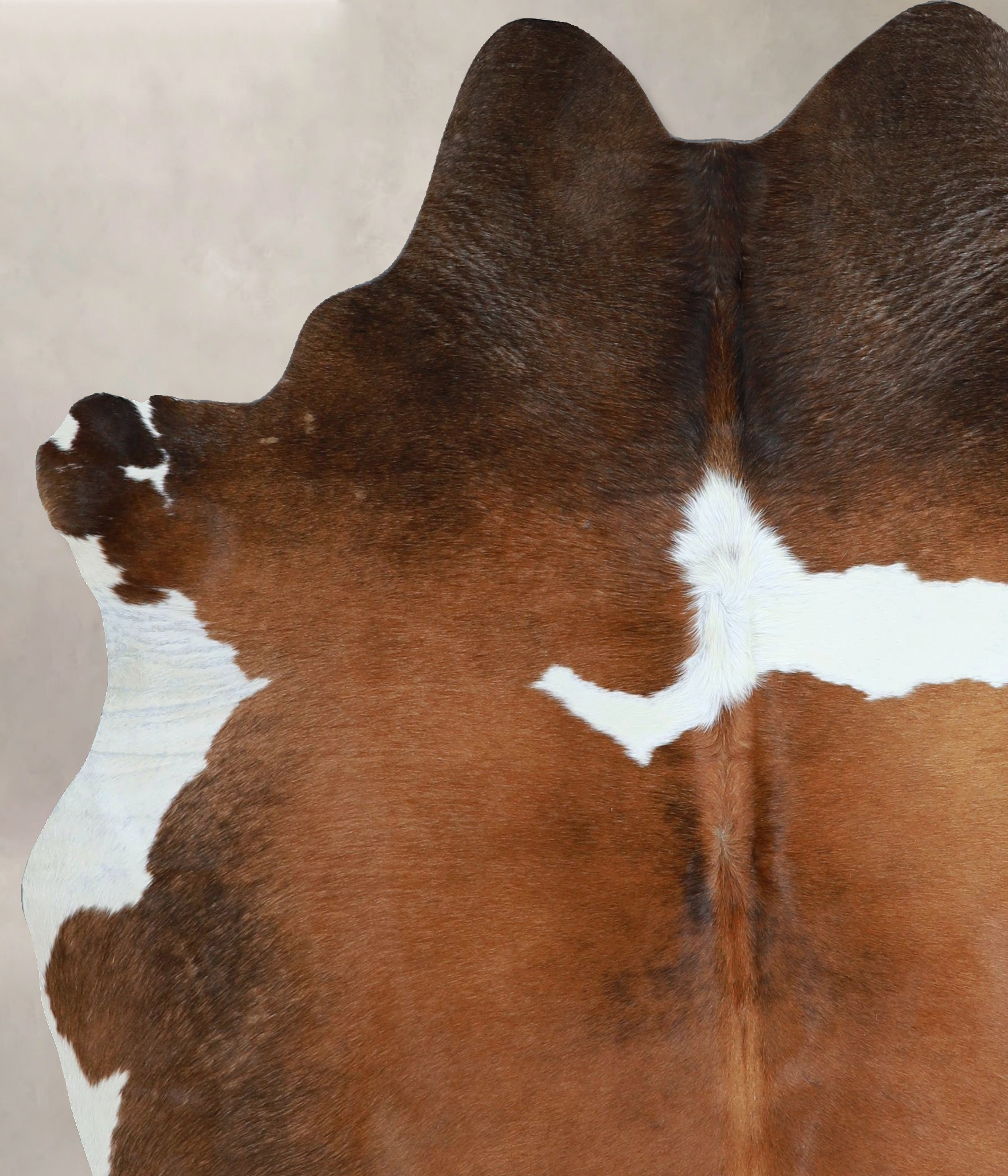 Chocolate and White Cowhide Rug #A45185
