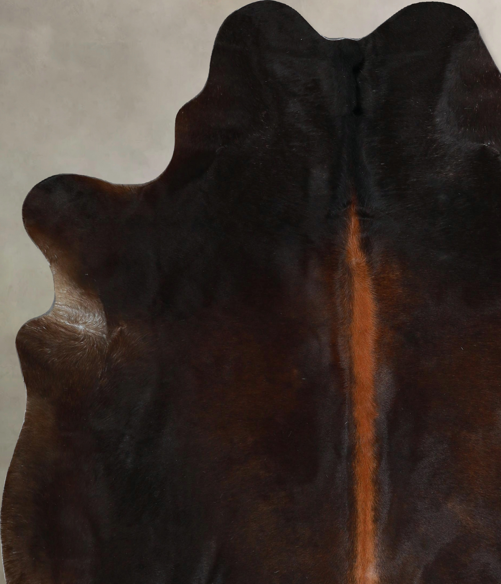 Chocolate Cowhide Rug #A45187