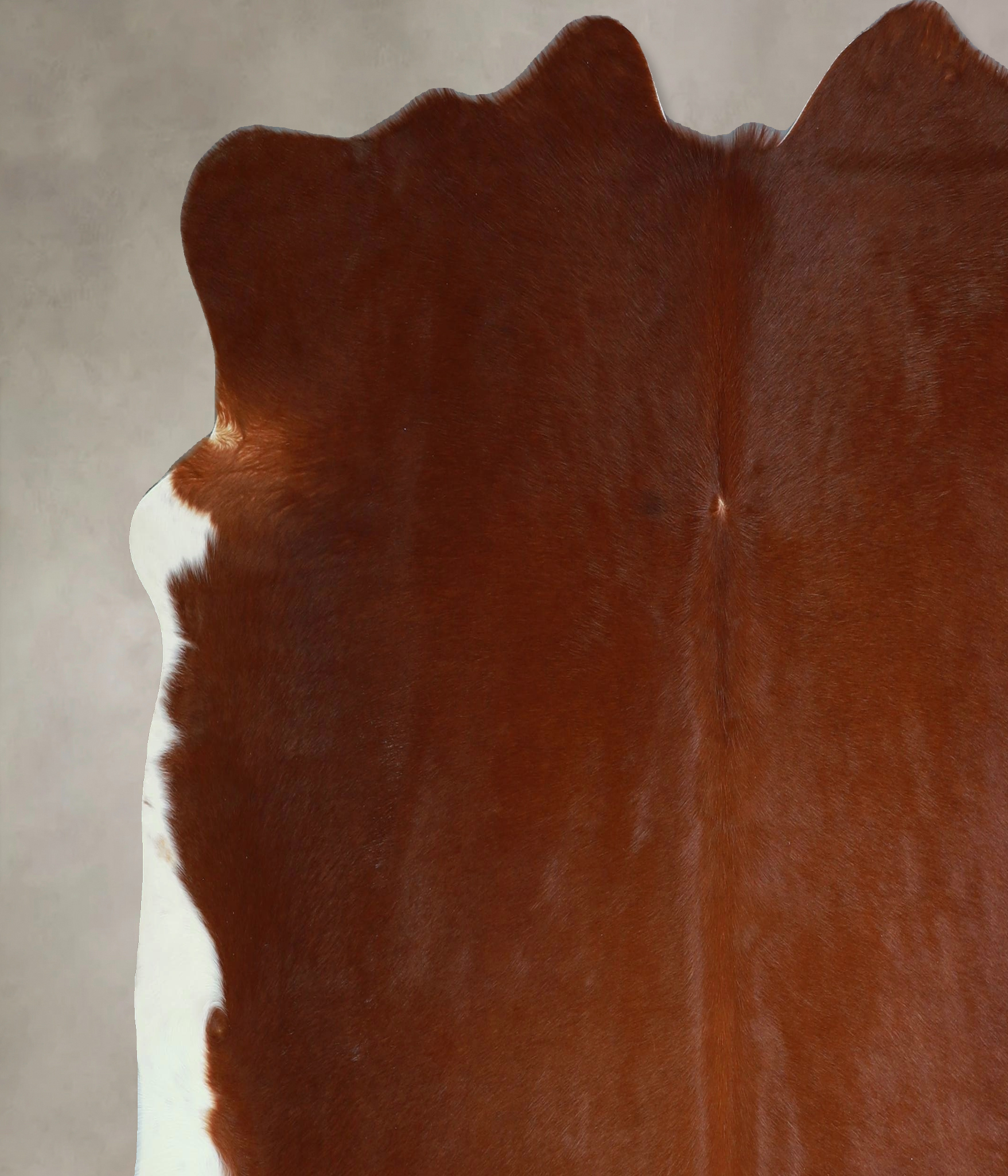 Solid Brown Cowhide Rug #A45192