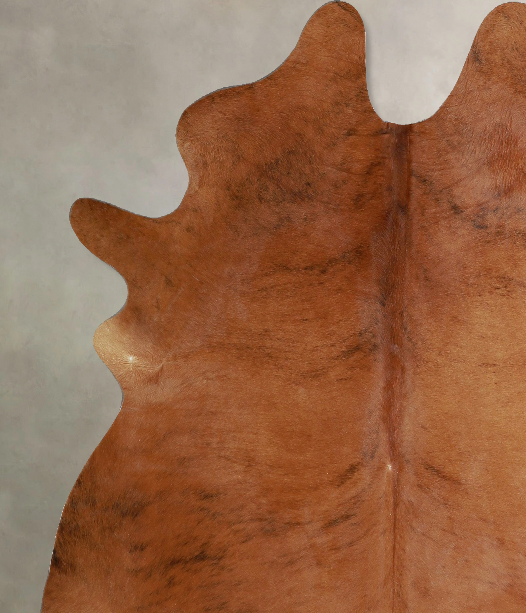 Medium Brindle Cowhide Rug #A45193