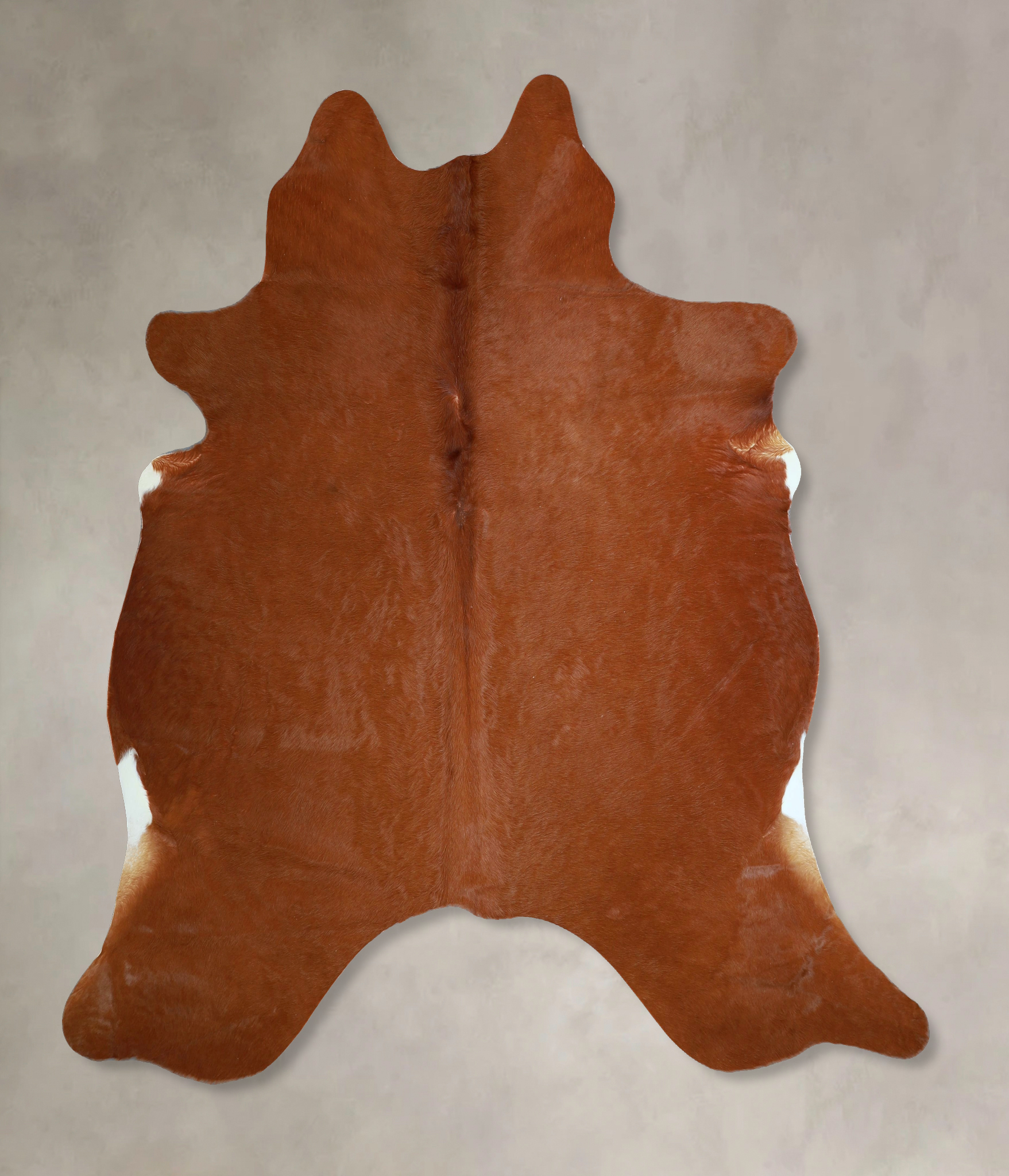 Solid Brown Cowhide Rug #A45204