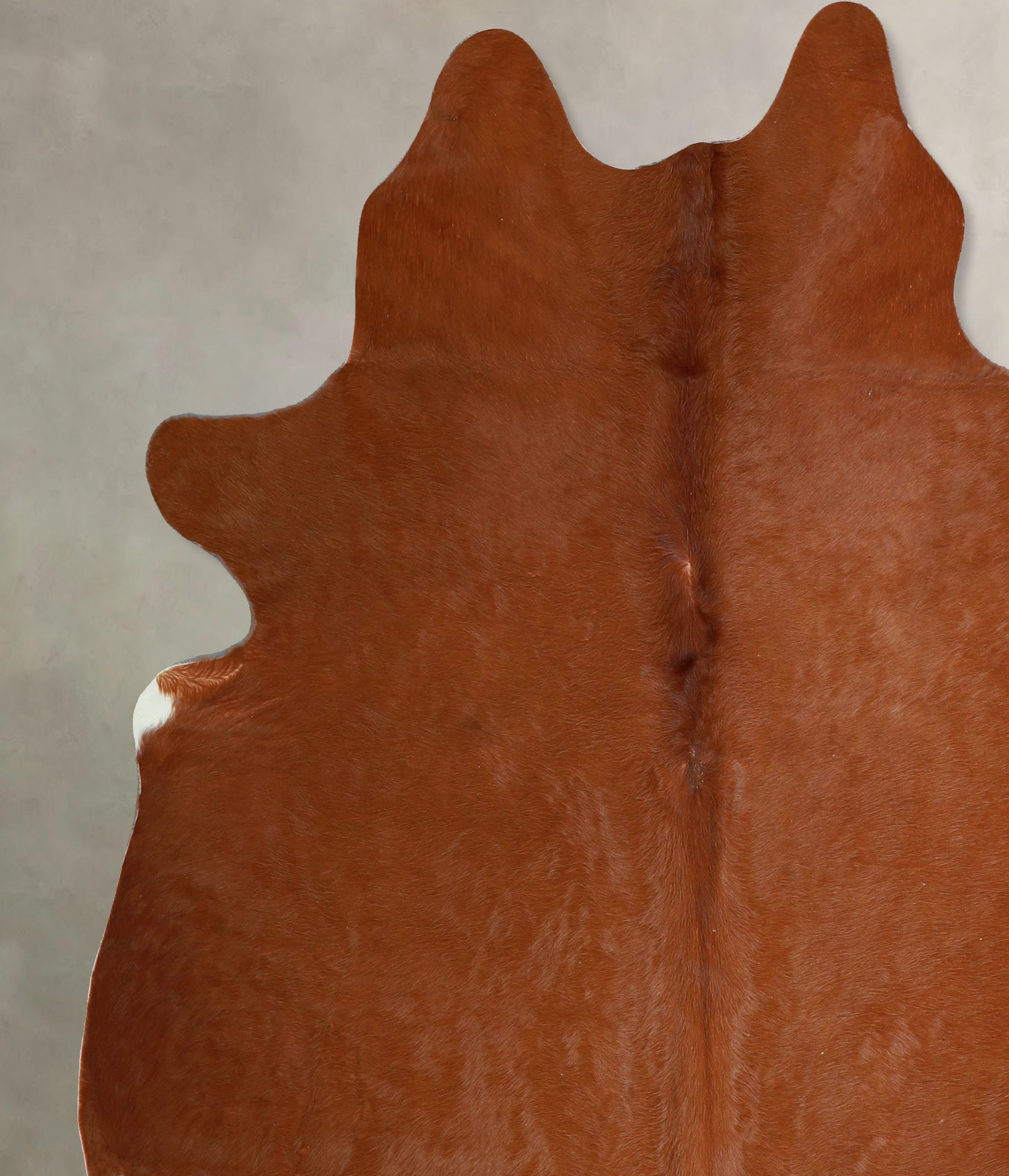 Solid Brown Cowhide Rug #A45204