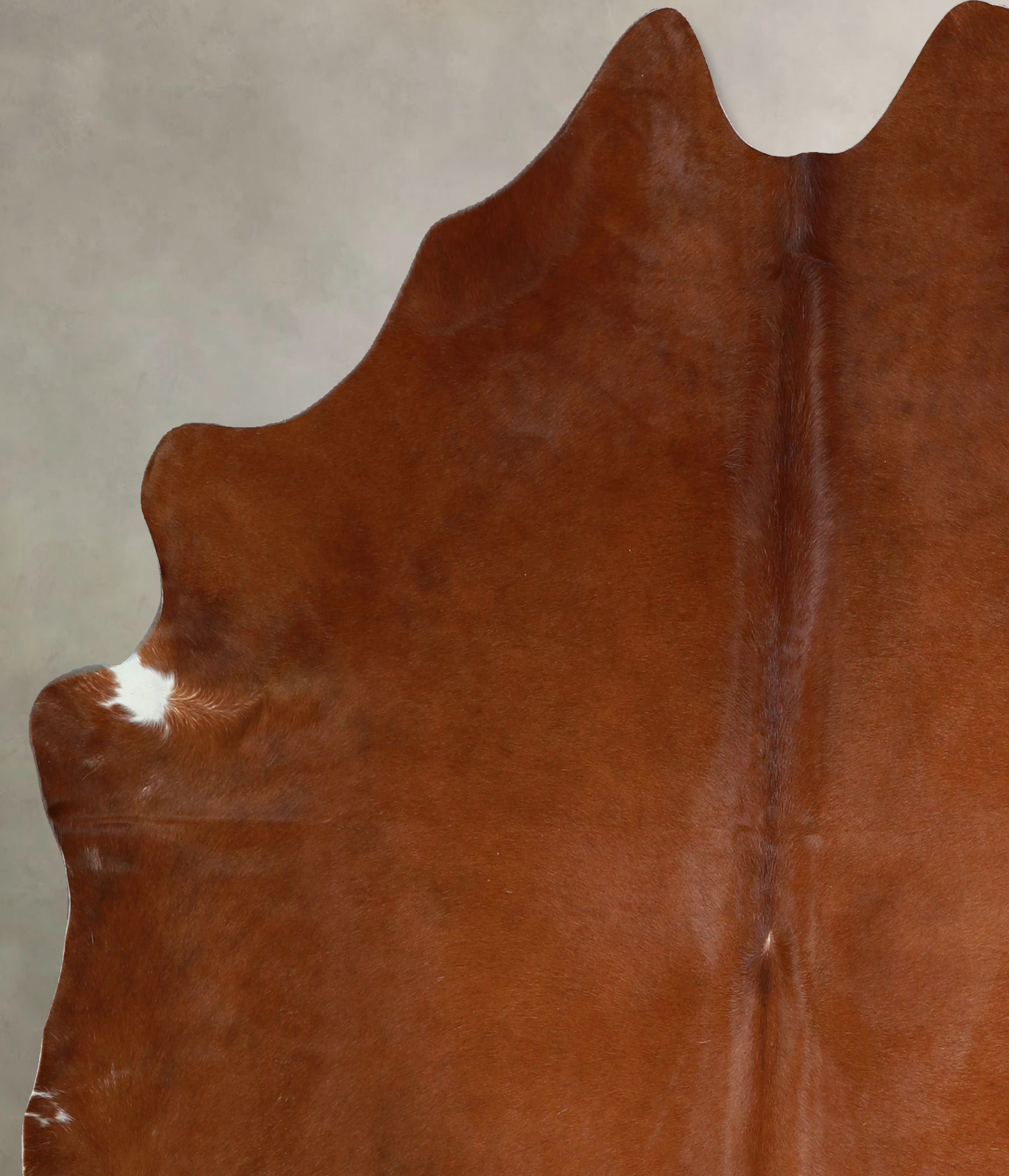 Solid Brown Cowhide Rug #A45205