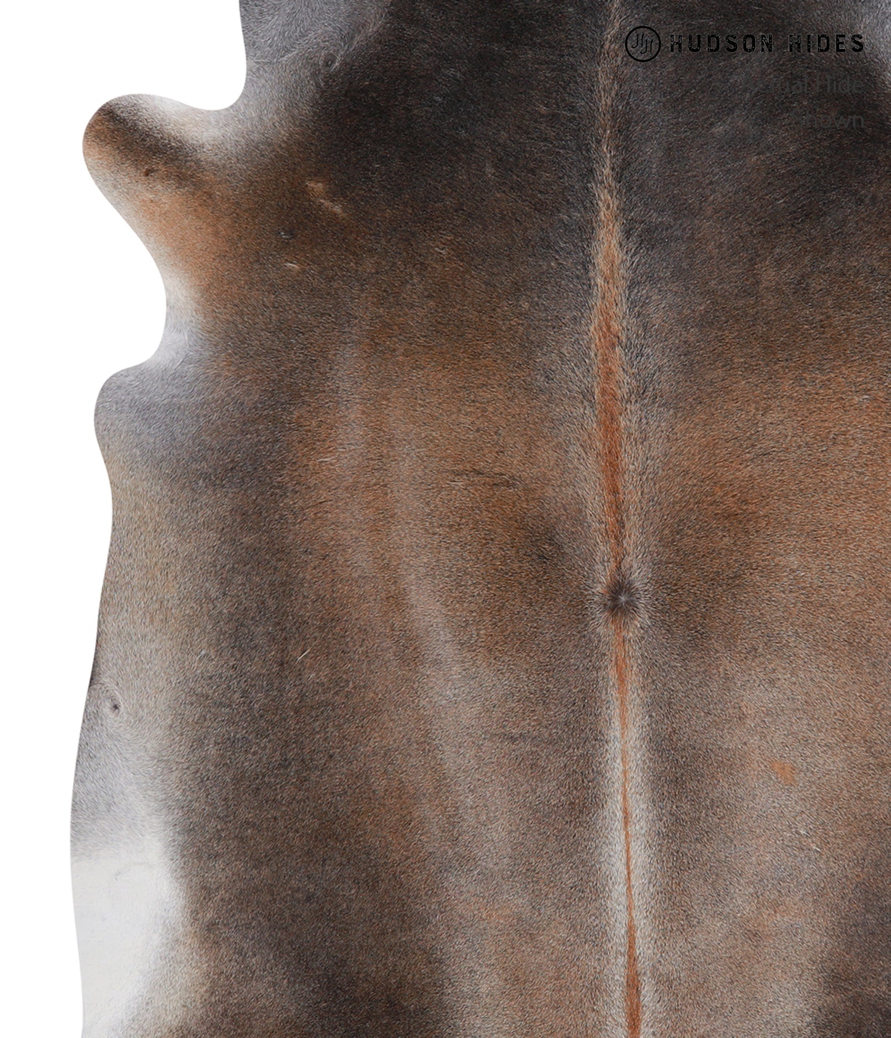 Grey with Beige Cowhide Rug #A4523