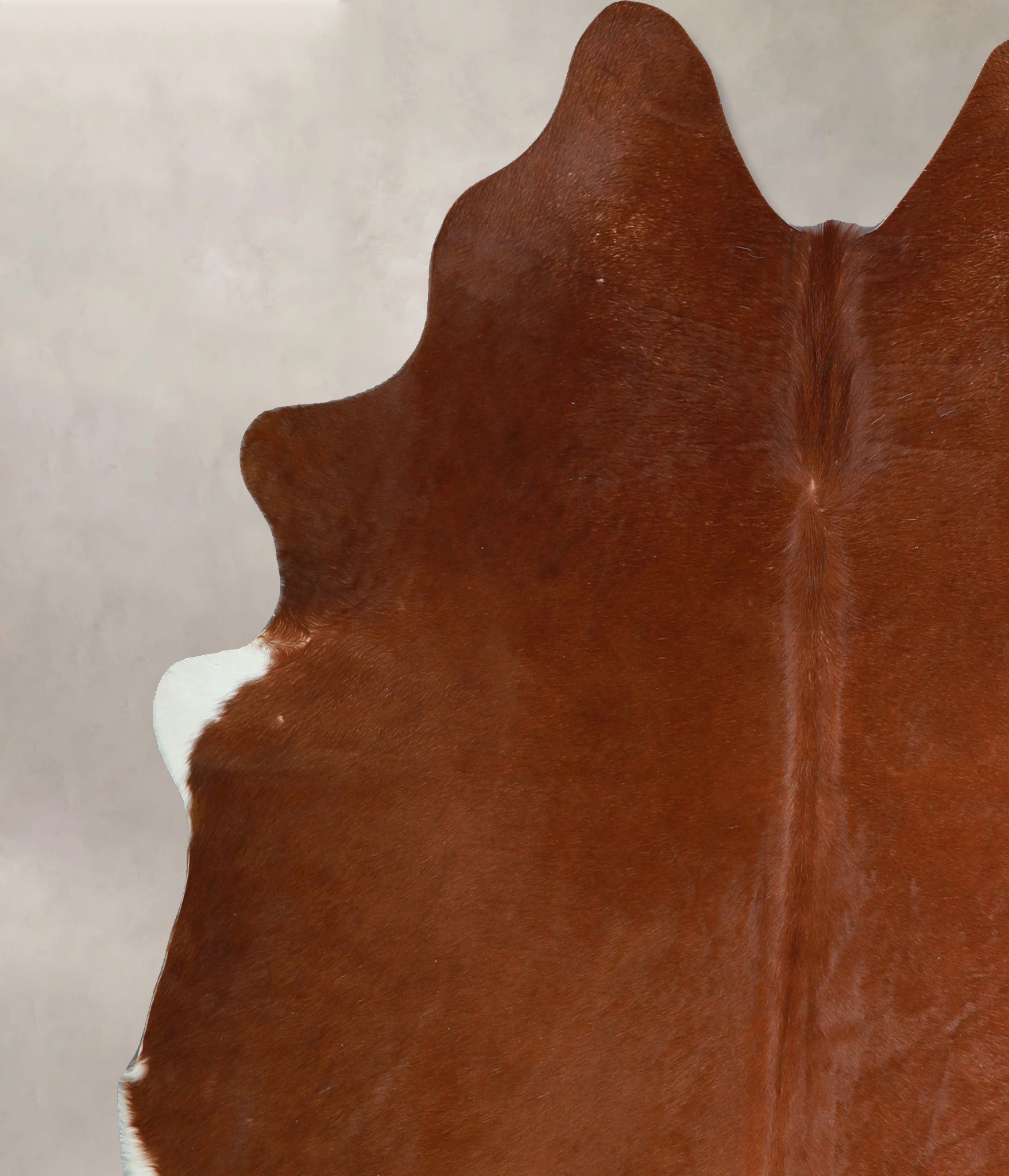 Solid Brown Cowhide Rug #A45235